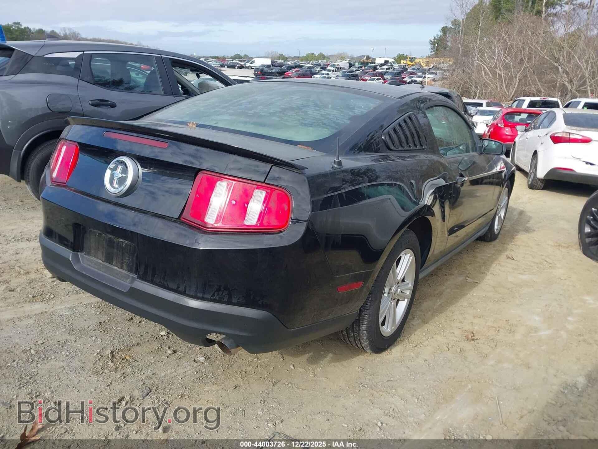 2010 FORD MUSTANG - VIN: 1ZVBP8AN7A5152730 - Фото 4