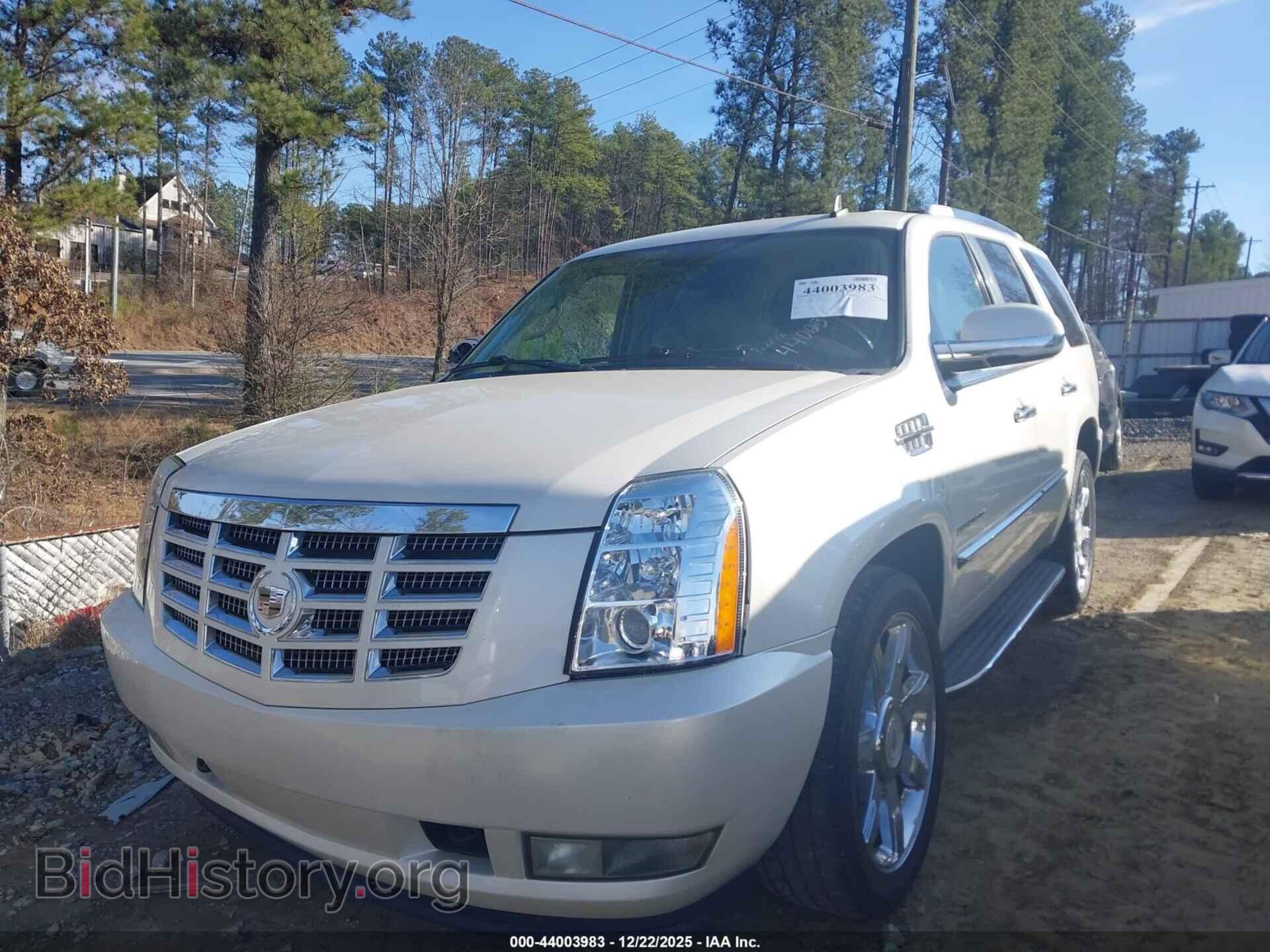 2010 CADILLAC ESCALADE - VIN: 1GYUKBEF6AR249155 - Фото 2