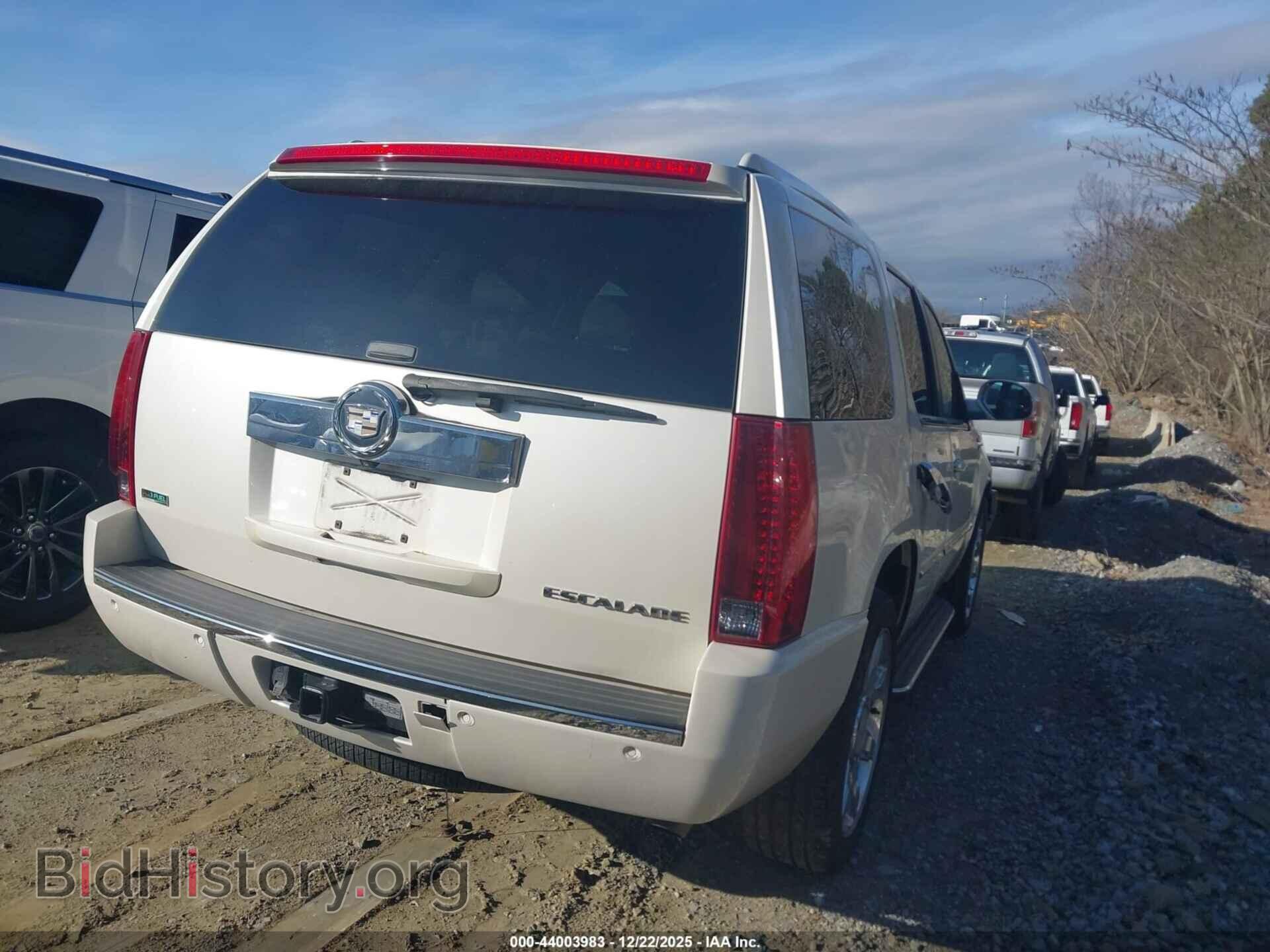 2010 CADILLAC ESCALADE - VIN: 1GYUKBEF6AR249155 - Фото 4