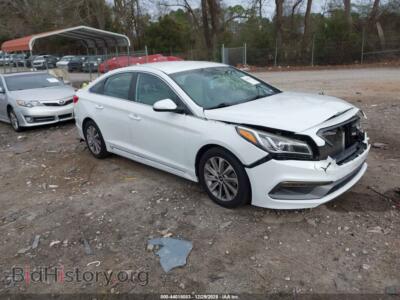 2015 Hyundai SONATA Sport, белый — VIN 5NPE34AF5FH253396, IAAI