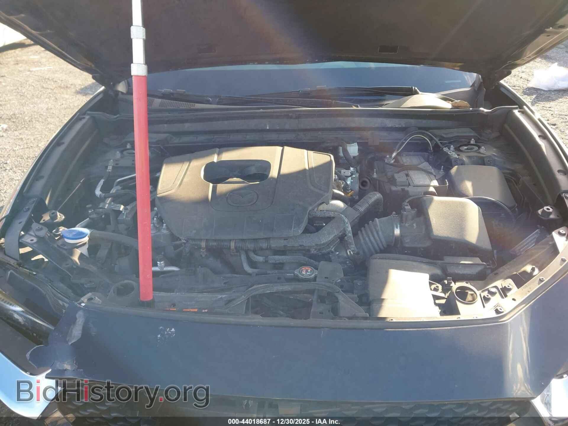 2023 MAZDA CX-30 - VIN: 3MVDMBBM3PM557217 - Фото 10
