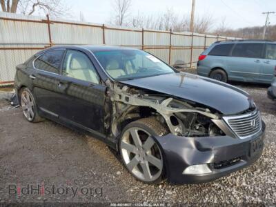 2009 Lexus LS 460, серый — VIN JTHCL46F195001924, IAAI