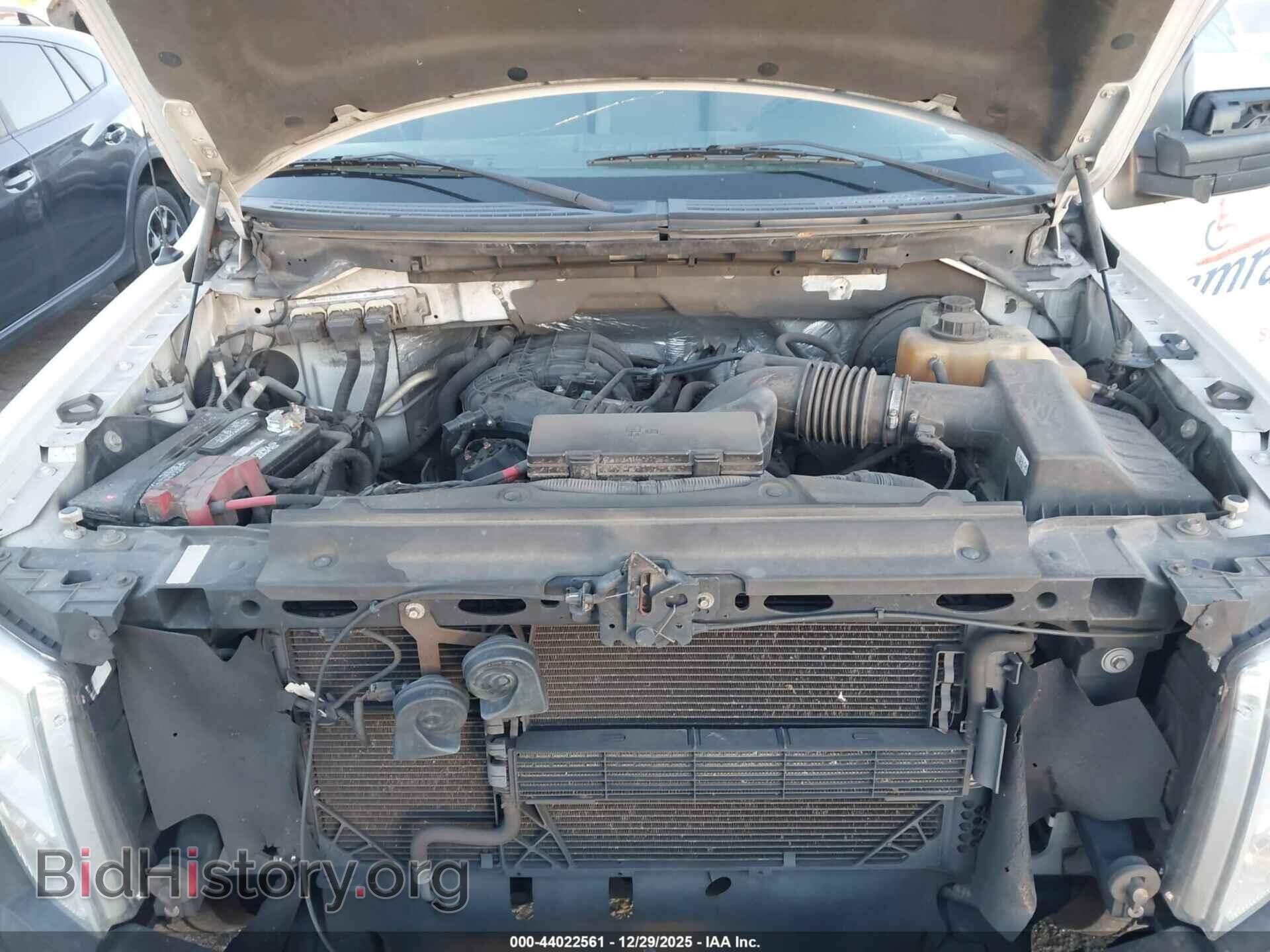 2013 FORD F-150 - VIN: 1FTMF1CM1DKG31287 - Фото 10