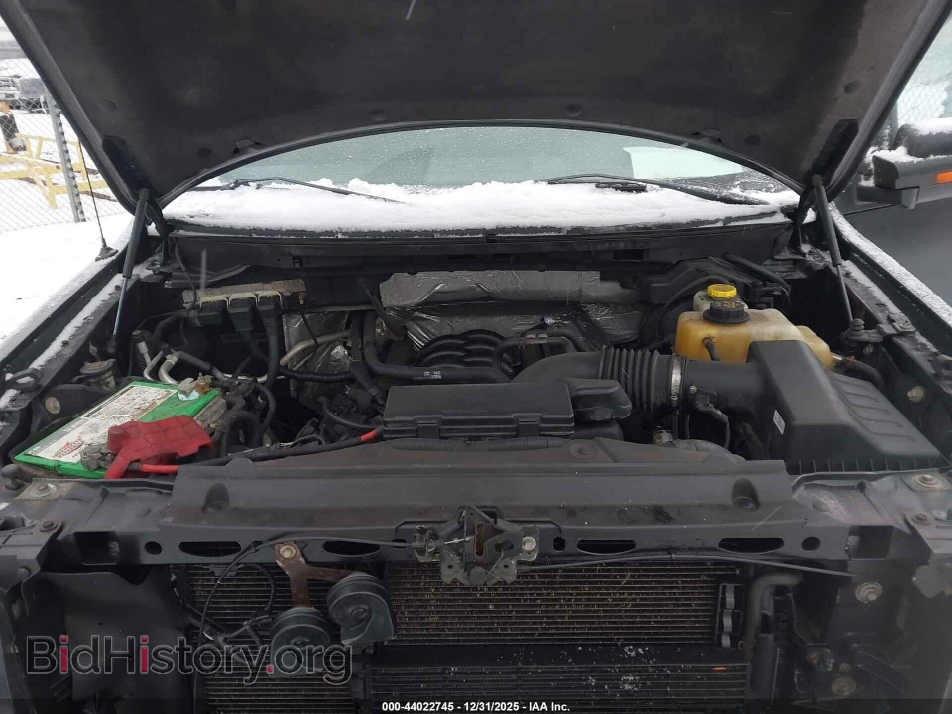 2014 FORD F-150 - VIN: 1FTFX1EF9EFA32913 - Фото 10