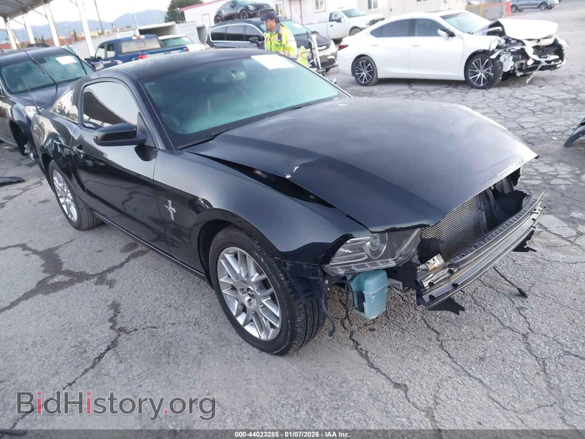 Фотография 1ZVBP8AM8E5210261 - FORD MUSTANG 2014