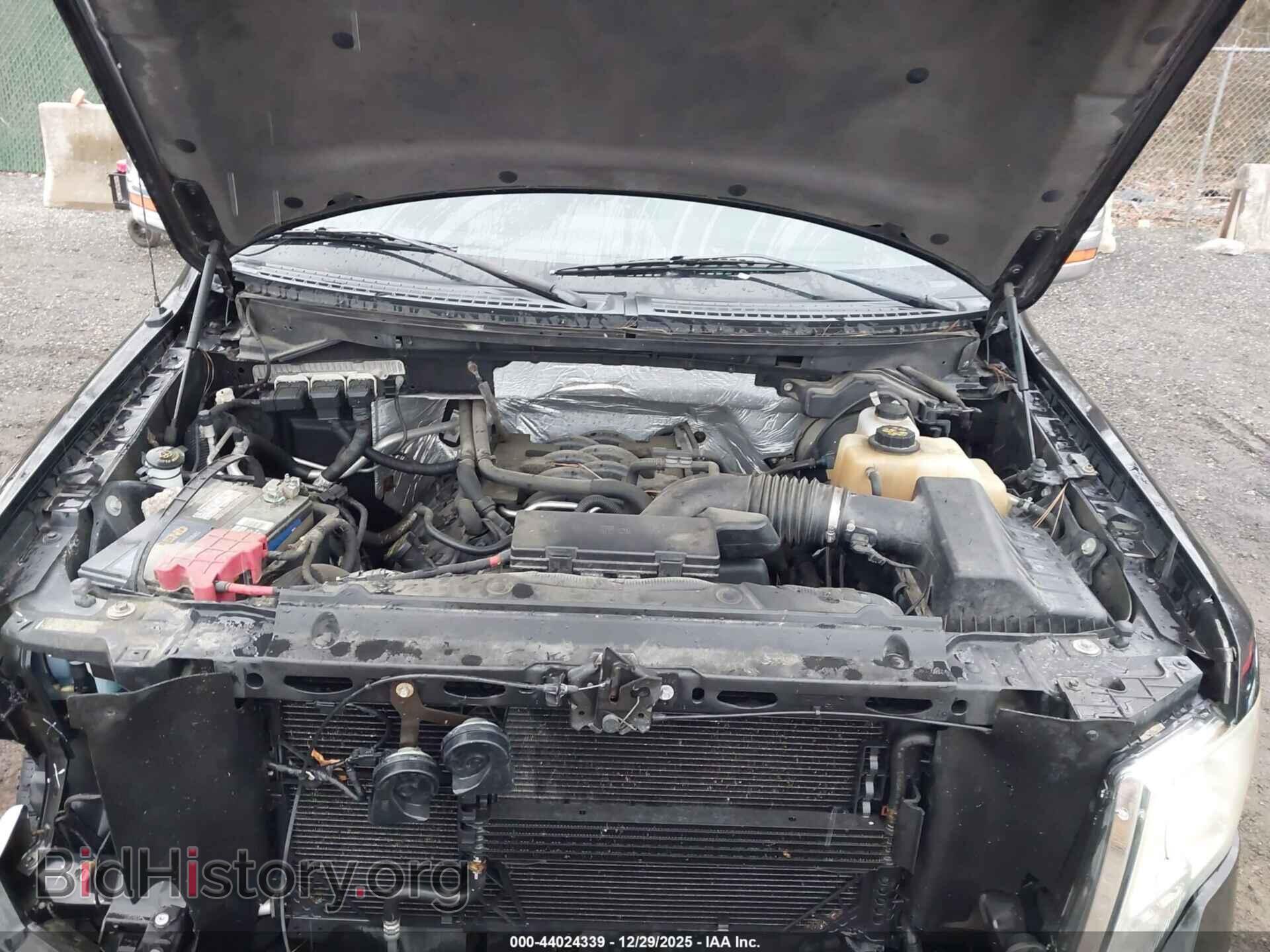 2011 FORD F-150 - VIN: 1FTFW1EF8BFA35381 - Фото 10