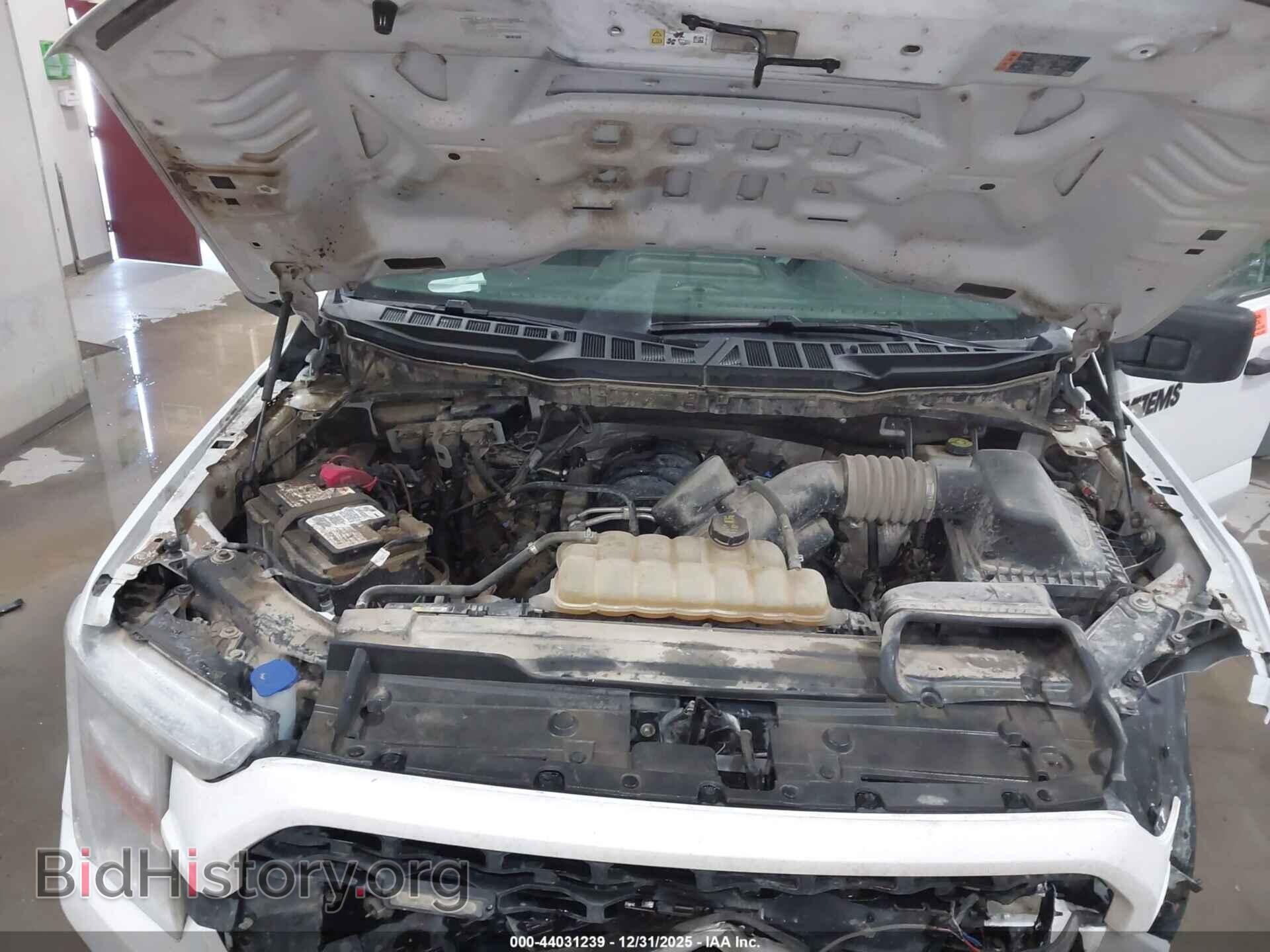 2021 FORD F-150 - VIN: 1FTFX1E54MFA51875 - Фото 10