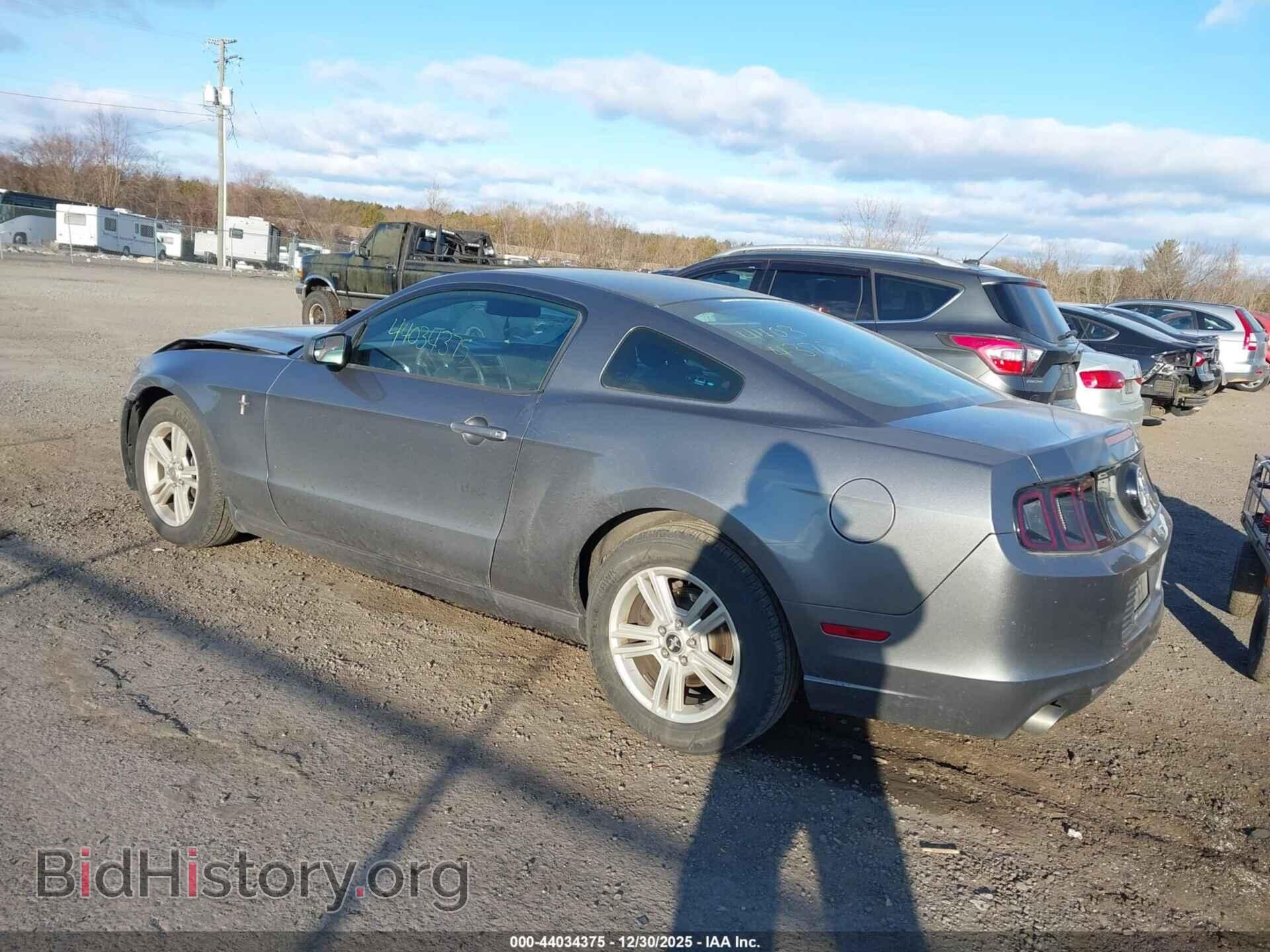 2014 FORD MUSTANG - VIN: 1ZVBP8AM2E5319475 - Фото 3