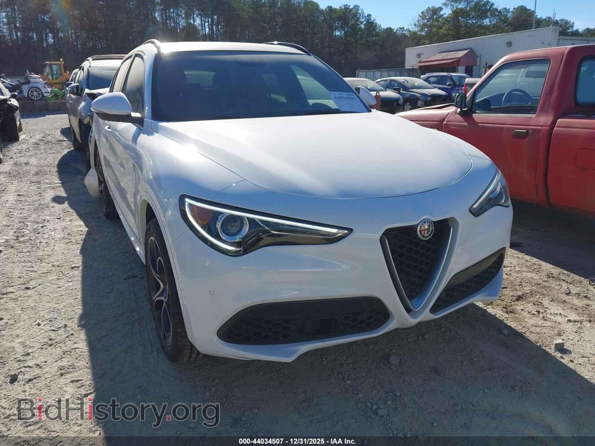 Фотография ZASPAKBN6M7D01084 - ALFA ROMEO STELVIO 2021