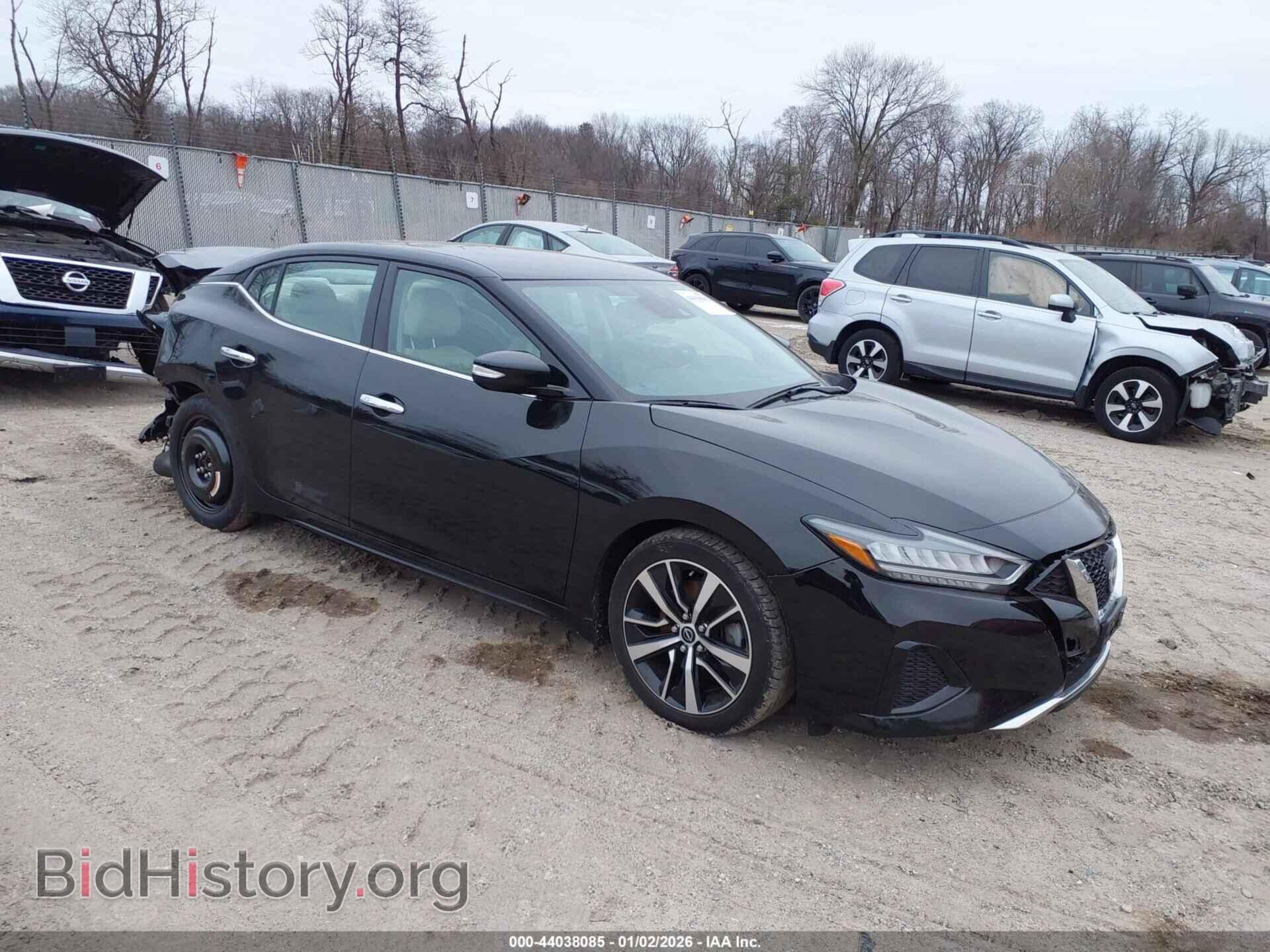 Фотография 1N4AA6CV3PC514239 - NISSAN MAXIMA 2023