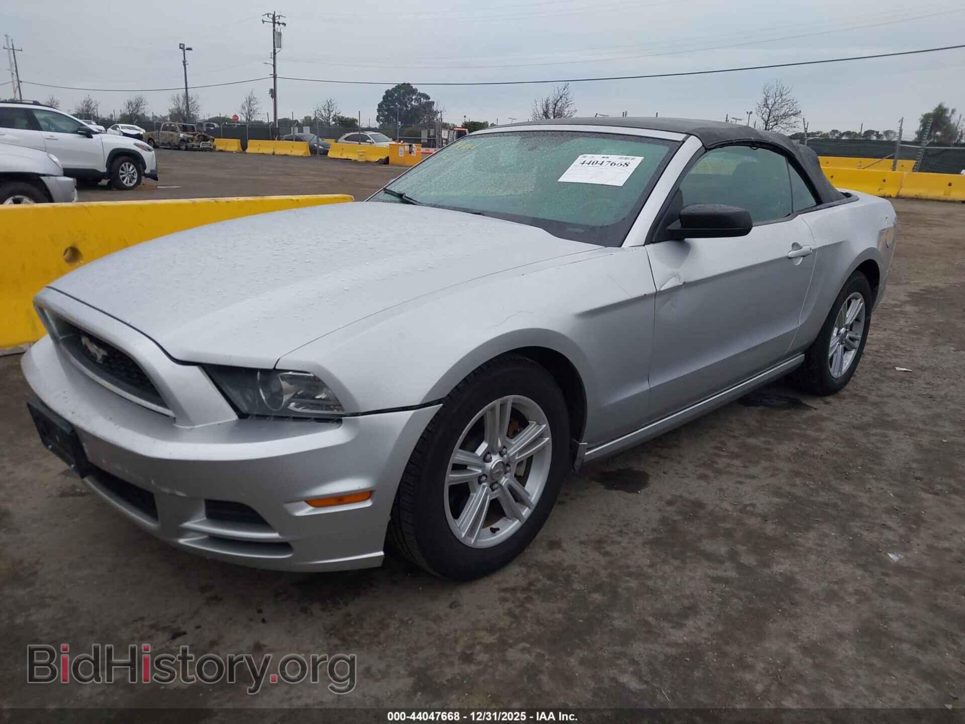 2013 FORD MUSTANG - VIN: 1ZVBP8EM3D5203842 - Фото 2