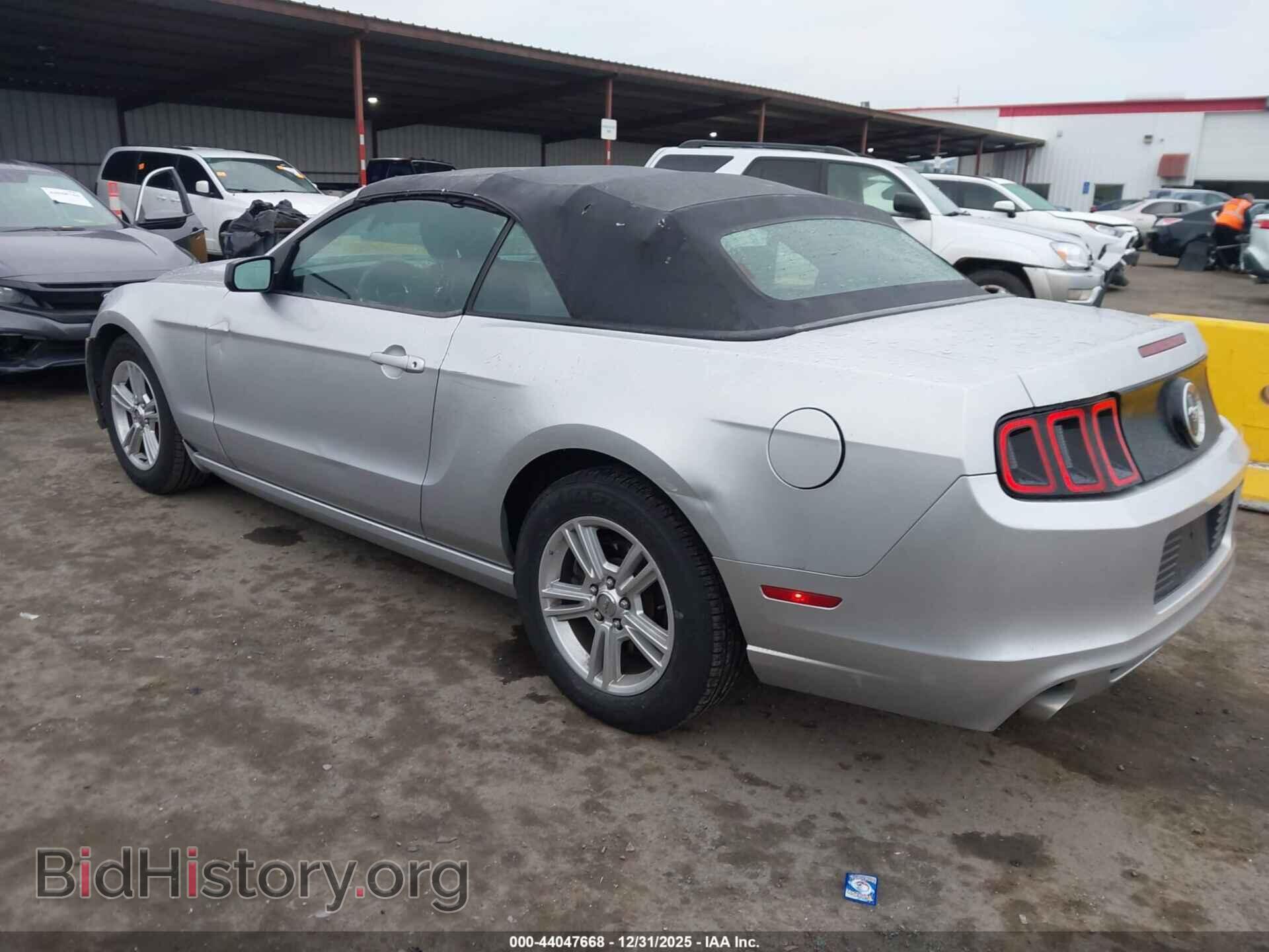2013 FORD MUSTANG - VIN: 1ZVBP8EM3D5203842 - Фото 3