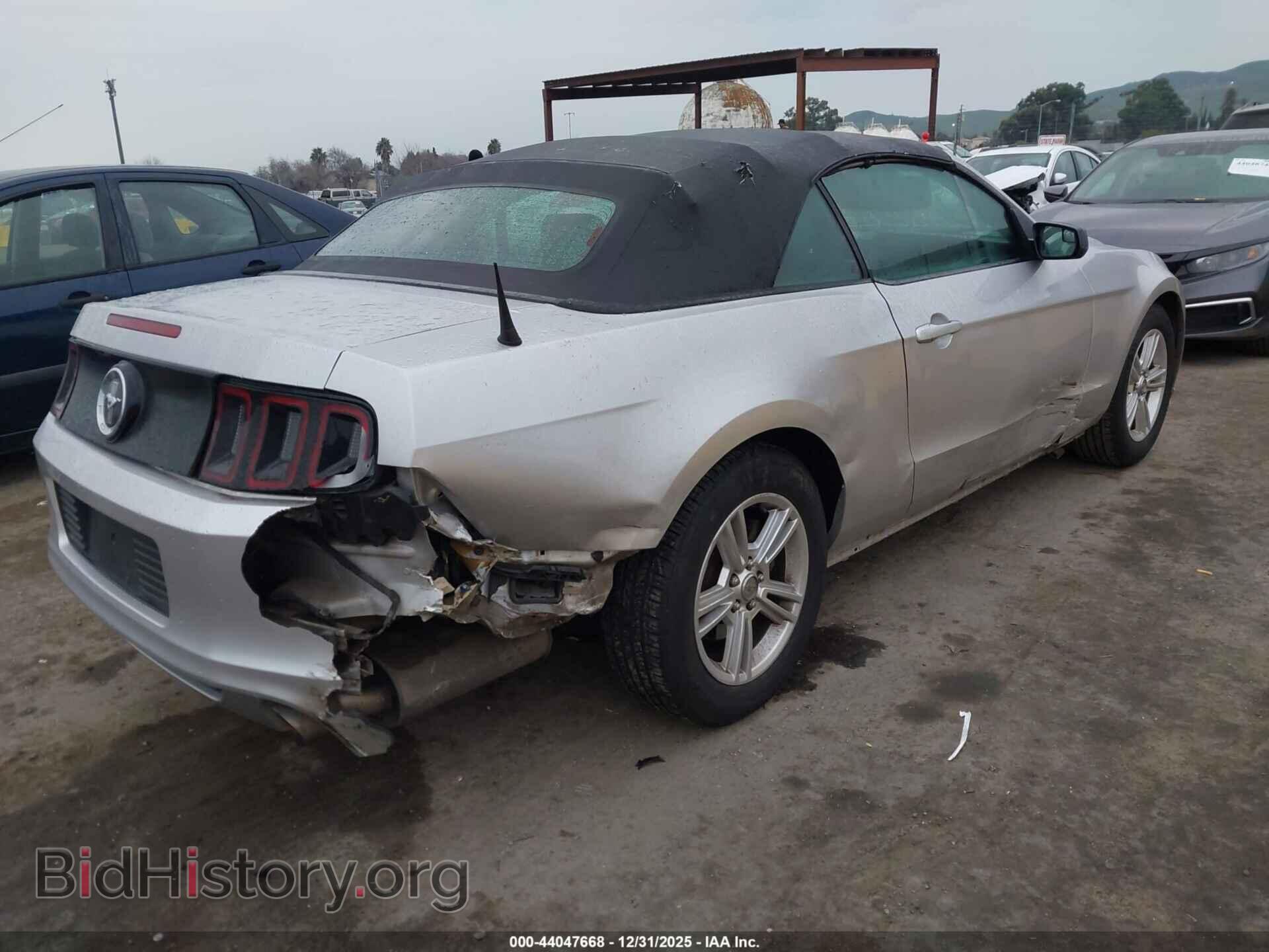 2013 FORD MUSTANG - VIN: 1ZVBP8EM3D5203842 - Фото 4