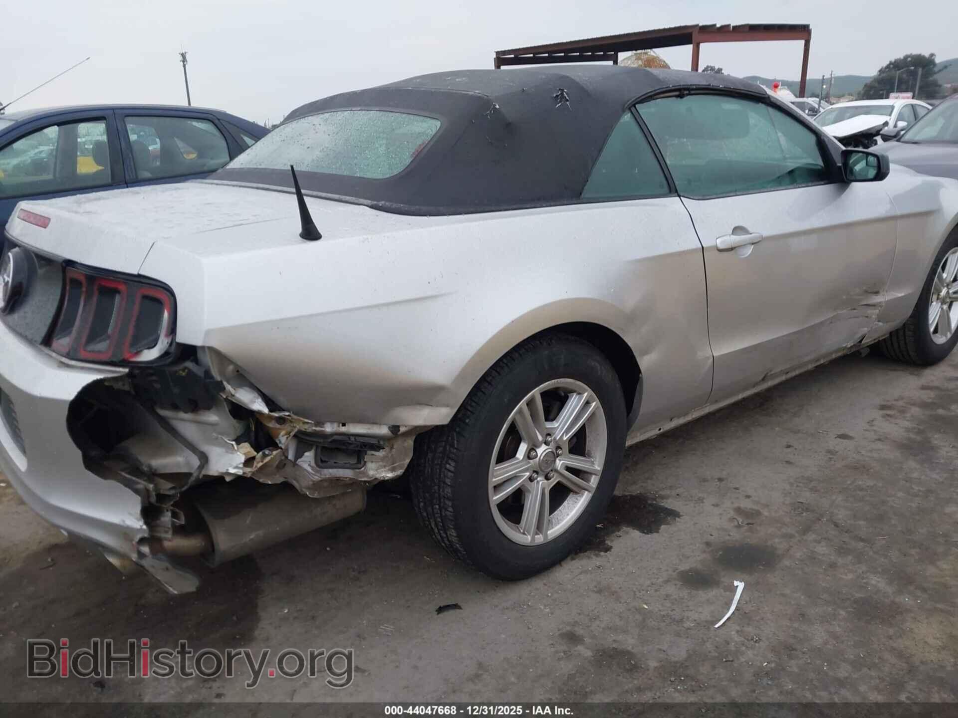 2013 FORD MUSTANG - VIN: 1ZVBP8EM3D5203842 - Фото 6