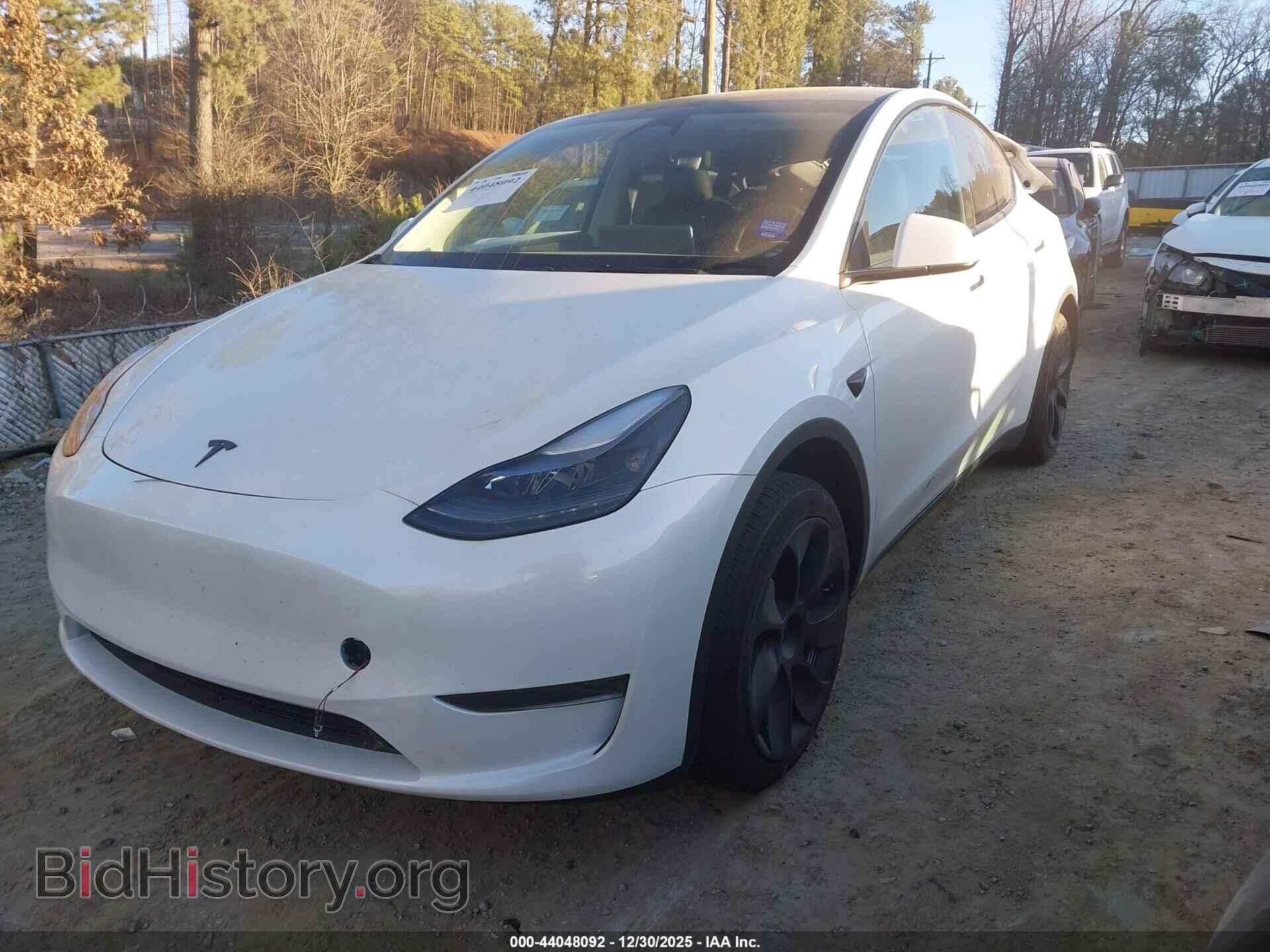 2024 TESLA MODEL Y - VIN: 7SAYGDED4RF017130 - Фото 2
