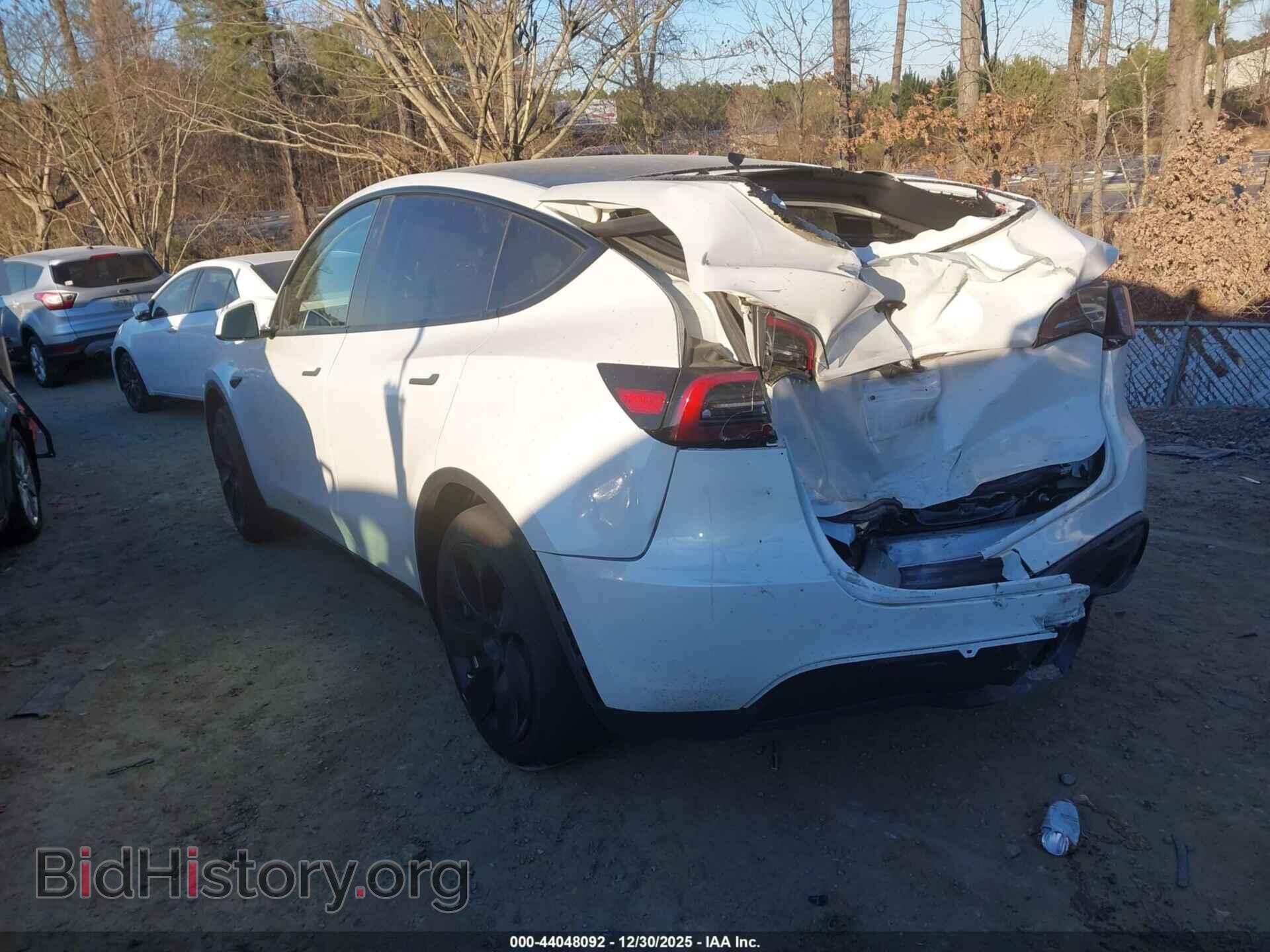 2024 TESLA MODEL Y - VIN: 7SAYGDED4RF017130 - Фото 3