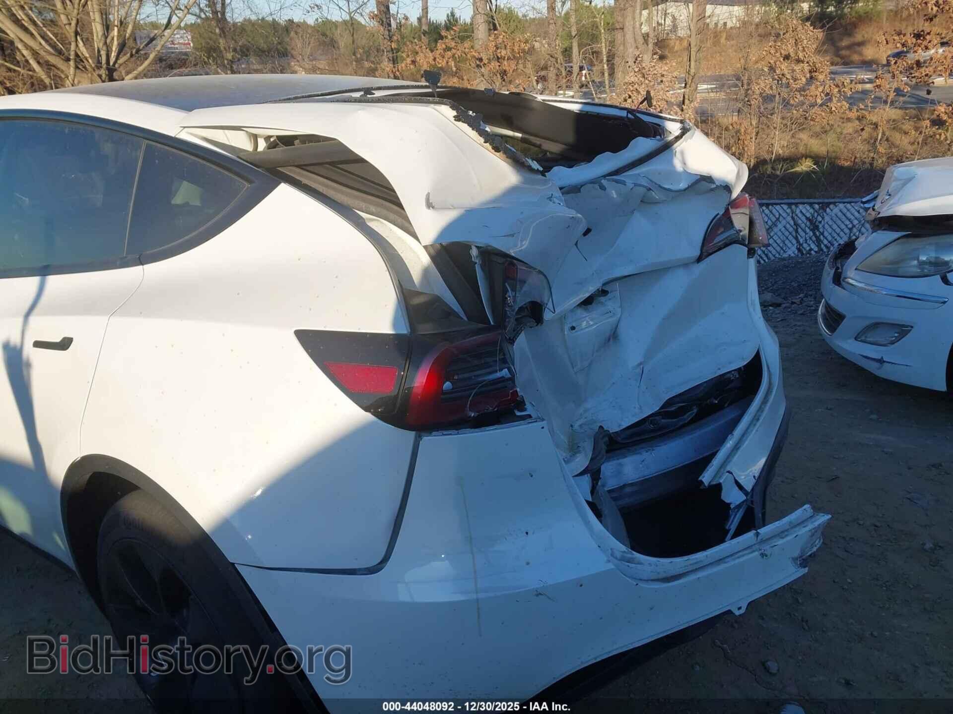 2024 TESLA MODEL Y - VIN: 7SAYGDED4RF017130 - Фото 6