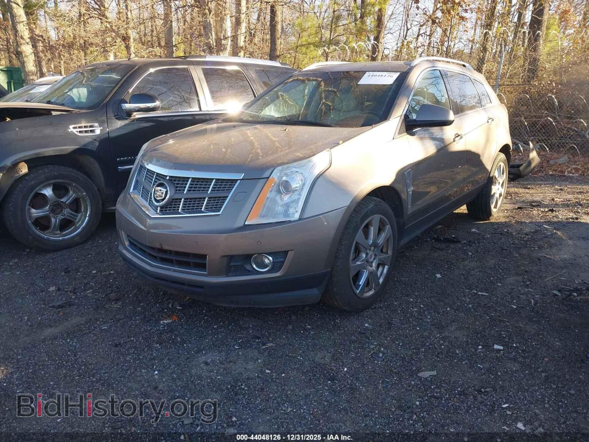 2012 CADILLAC SRX - VIN: 3GYFNBE34CS510319 - Фото 2