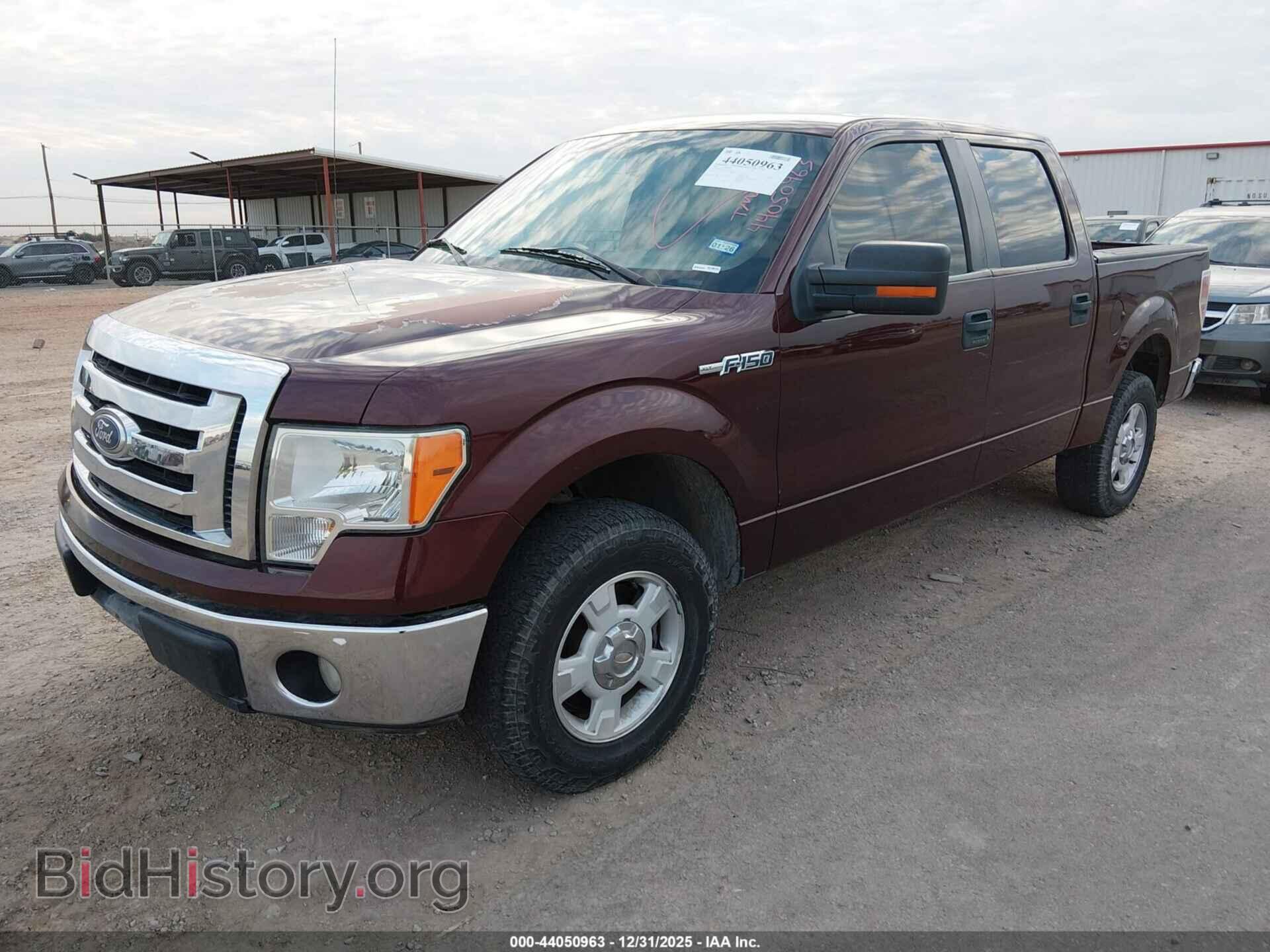 2010 FORD F-150 - VIN: 1FTEW1C80AFA84704 - Фото 2