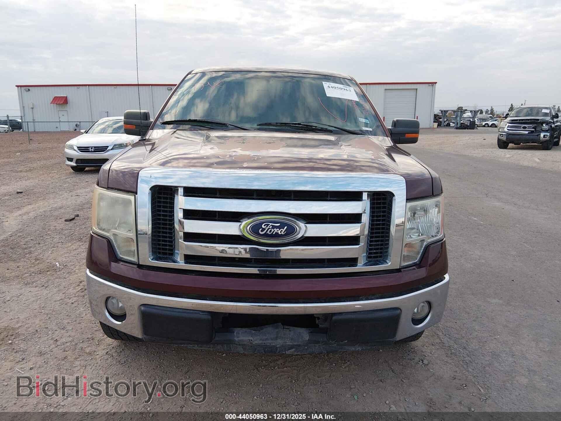 2010 FORD F-150 - VIN: 1FTEW1C80AFA84704 - Фото 12