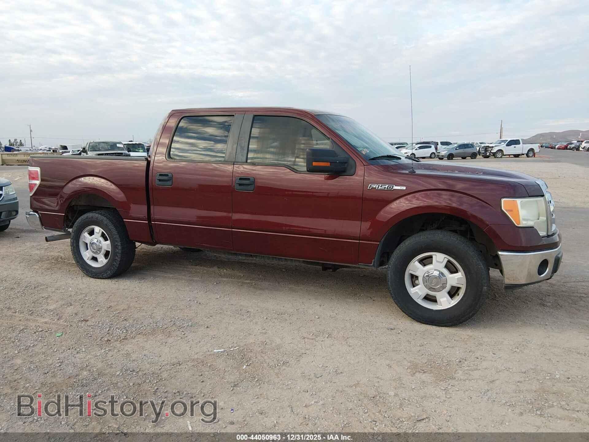 2010 FORD F-150 - VIN: 1FTEW1C80AFA84704 - Фото 13