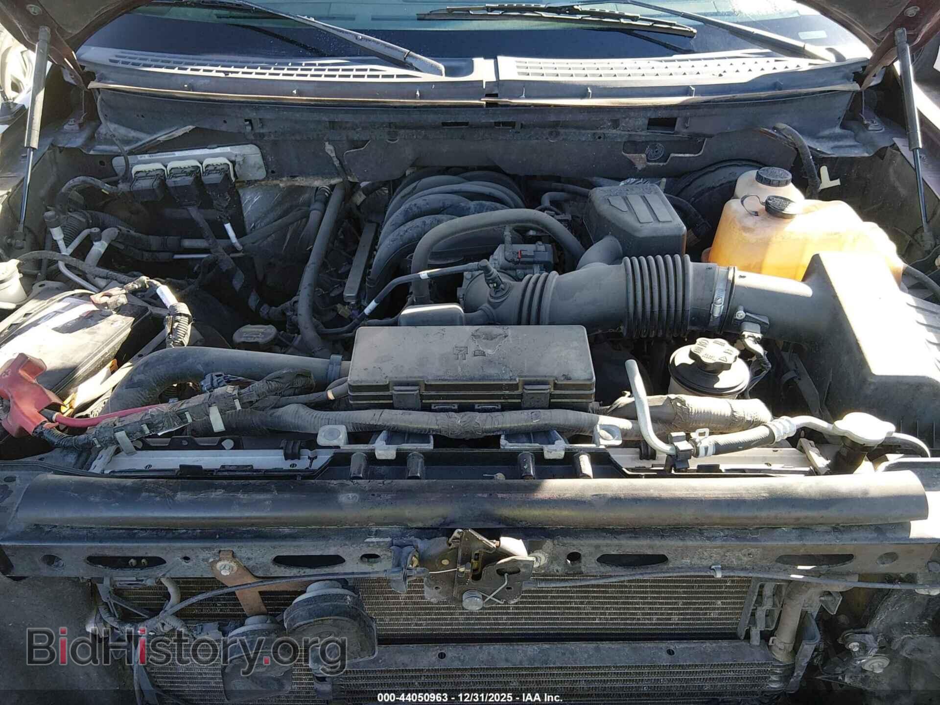 2010 FORD F-150 - VIN: 1FTEW1C80AFA84704 - Фото 10