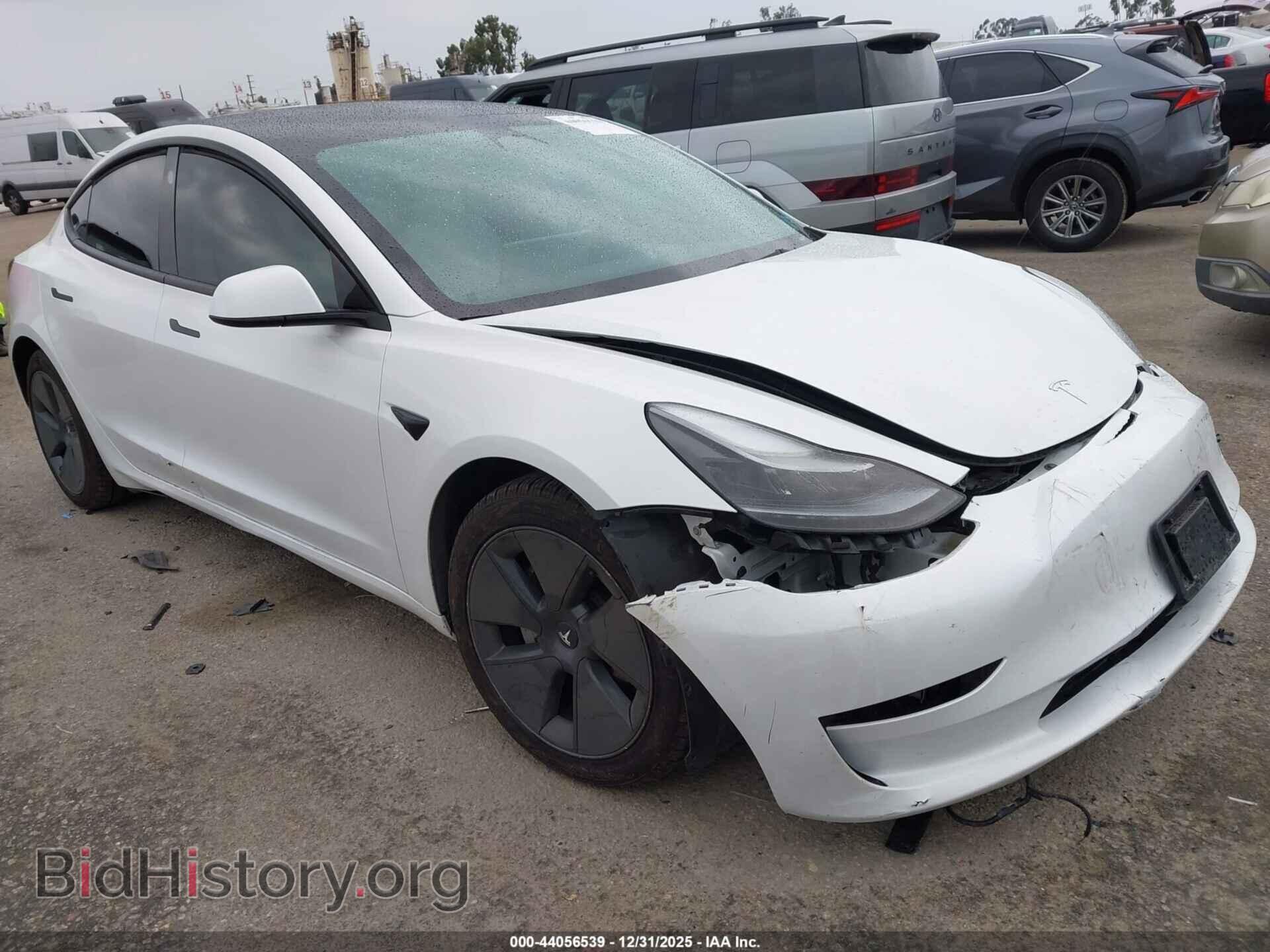 Photo 5YJ3E1EA3PF647641 - TESLA MODEL 3 2023