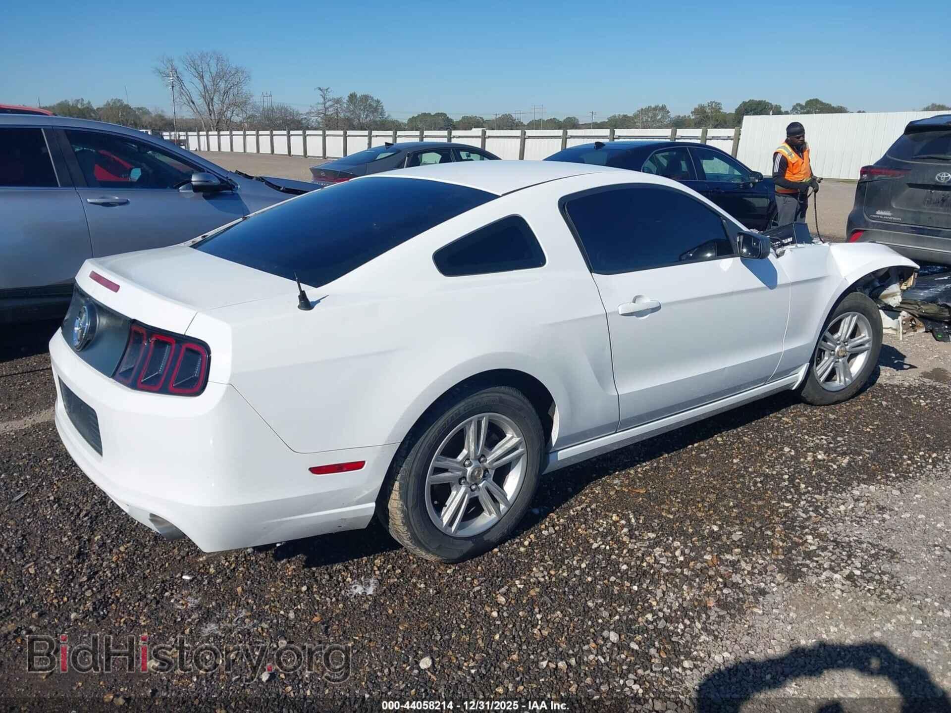 2014 FORD MUSTANG - VIN: 1ZVBP8AM6E5249172 - Фото 4