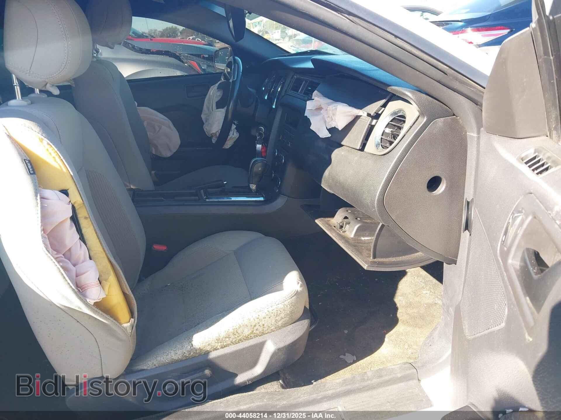 2014 FORD MUSTANG - VIN: 1ZVBP8AM6E5249172 - Фото 5
