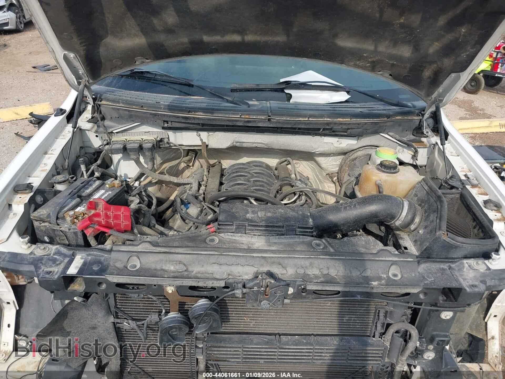 2014 FORD F-150 - VIN: 1FTFX1CFXEKD37346 - Фото 10