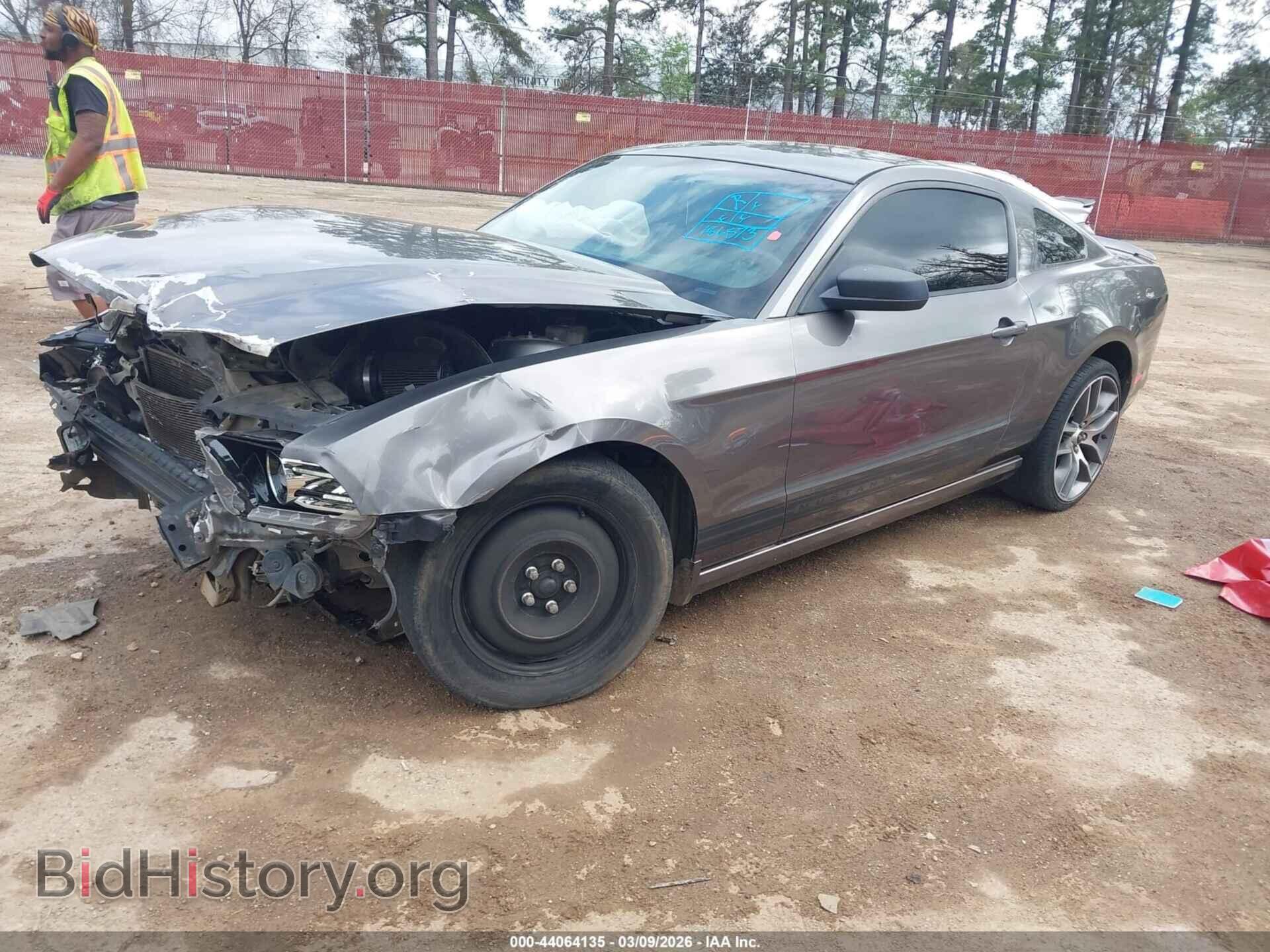 2013 FORD MUSTANG - VIN: 1ZVBP8AM9D5277403 - Фото 2
