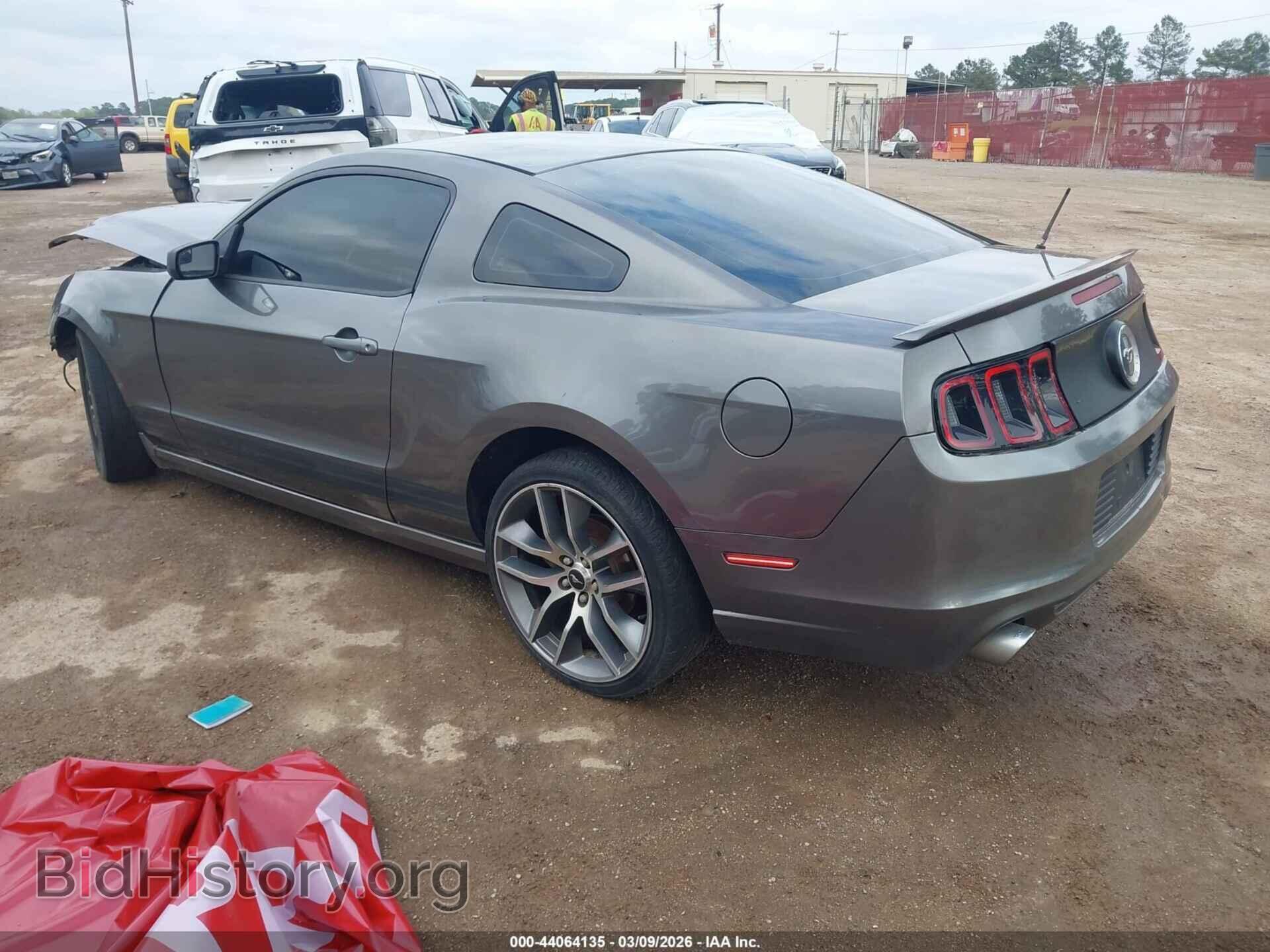 2013 FORD MUSTANG - VIN: 1ZVBP8AM9D5277403 - Фото 3
