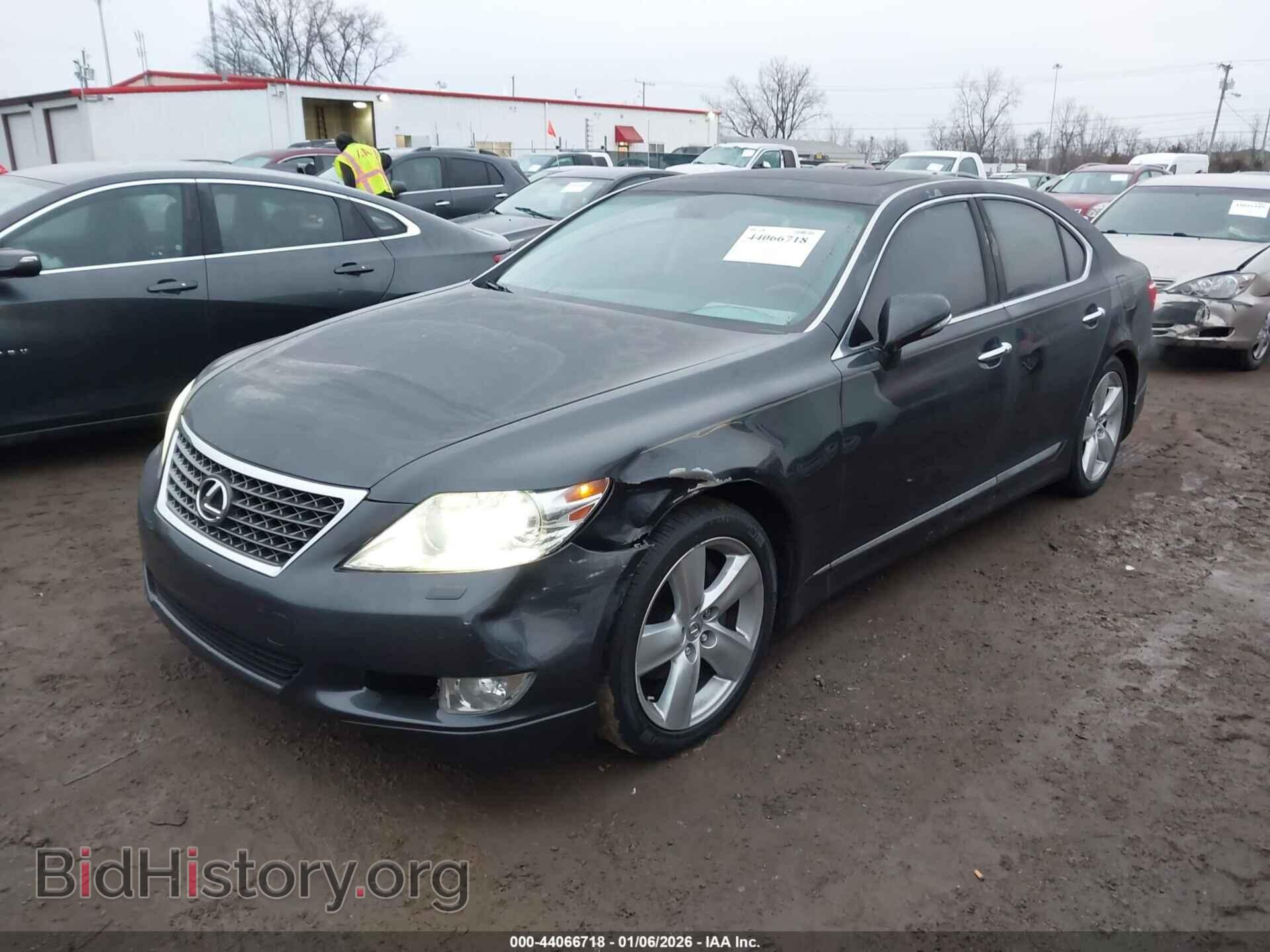2011 LEXUS LS 460 - VIN: JTHBL5EF7B5107528 - Фото 2