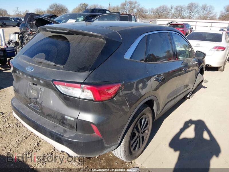 2020 Ford ESCAPE (VIN 1FMCU0G69LUA54451) — photo 4 of 16