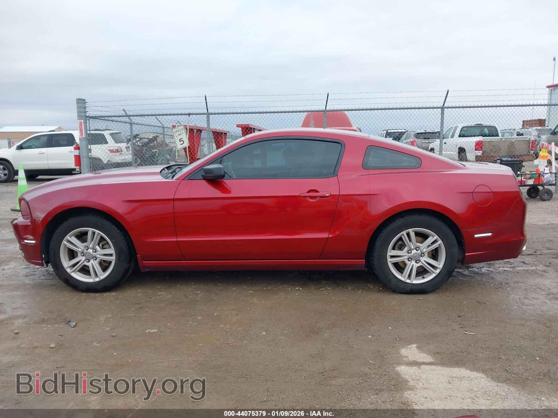 2014 FORD MUSTANG - VIN: 1ZVBP8AM4E5280081 - Фото 14