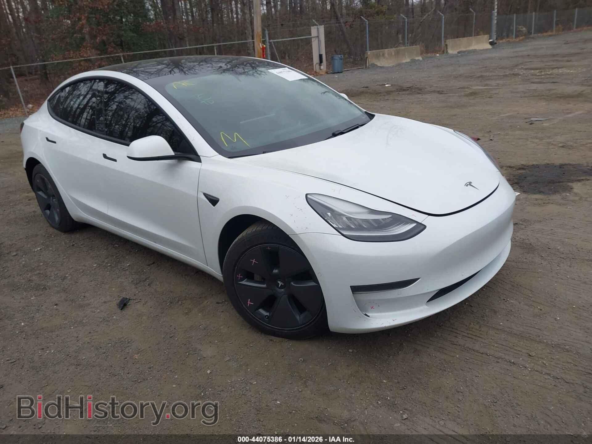 Photo 5YJ3E1EB4MF858240 - TESLA MODEL 3 2021