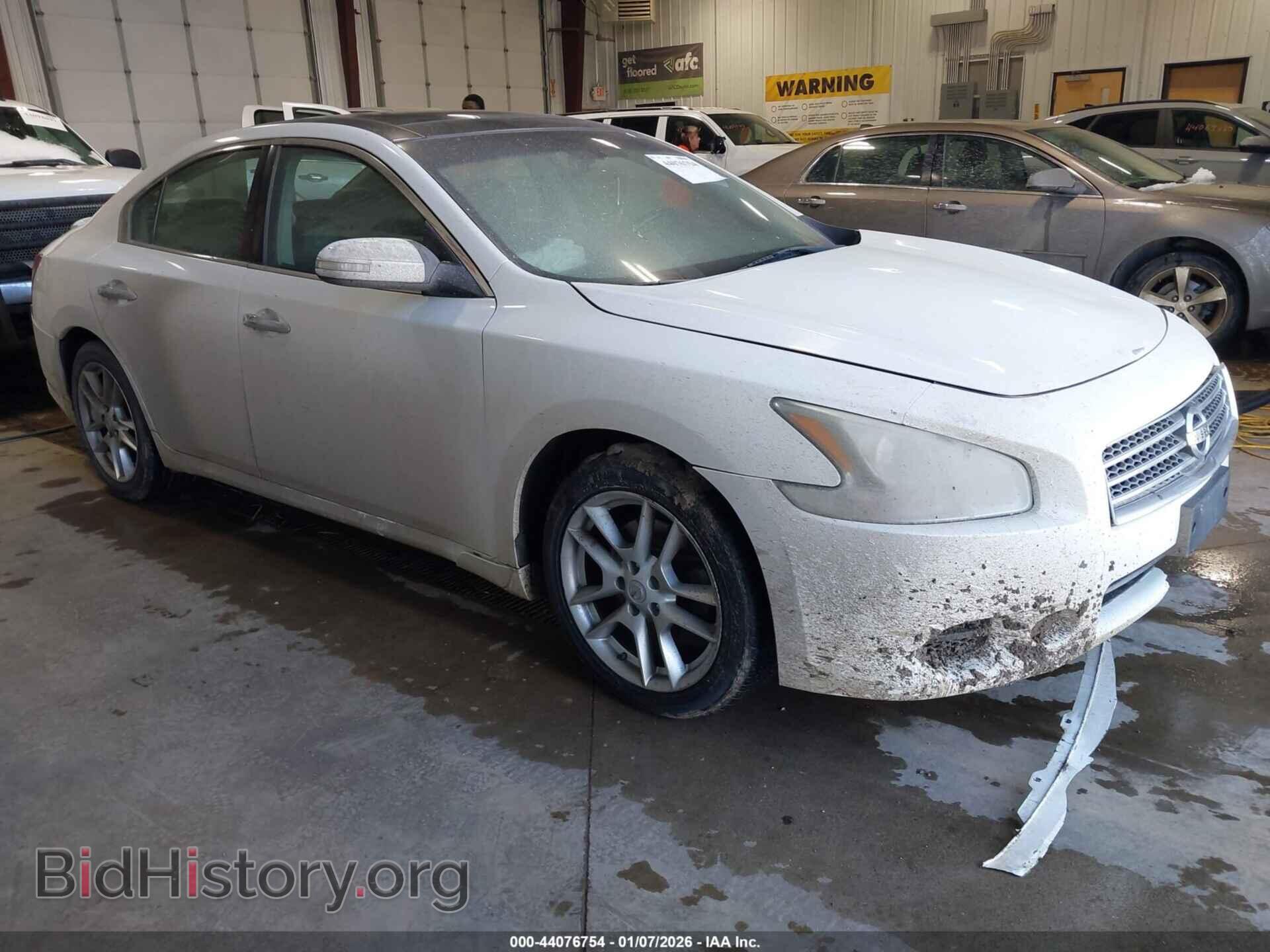 Photo 1N4AA5AP6BC856484 - NISSAN MAXIMA 2011