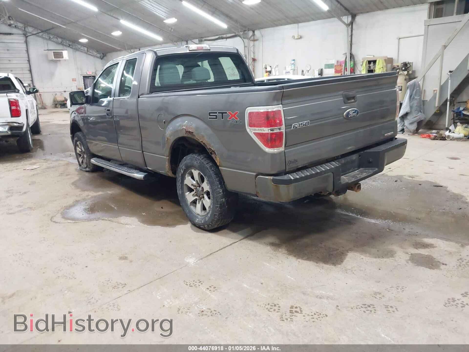 2011 FORD F-150 - VIN: 1FTFX1EF3BFC11556 - Фото 3
