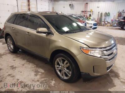 2013 Ford EDGE Limited, золотистый — VIN 2FMDK4KC4DBA38731, IAAI