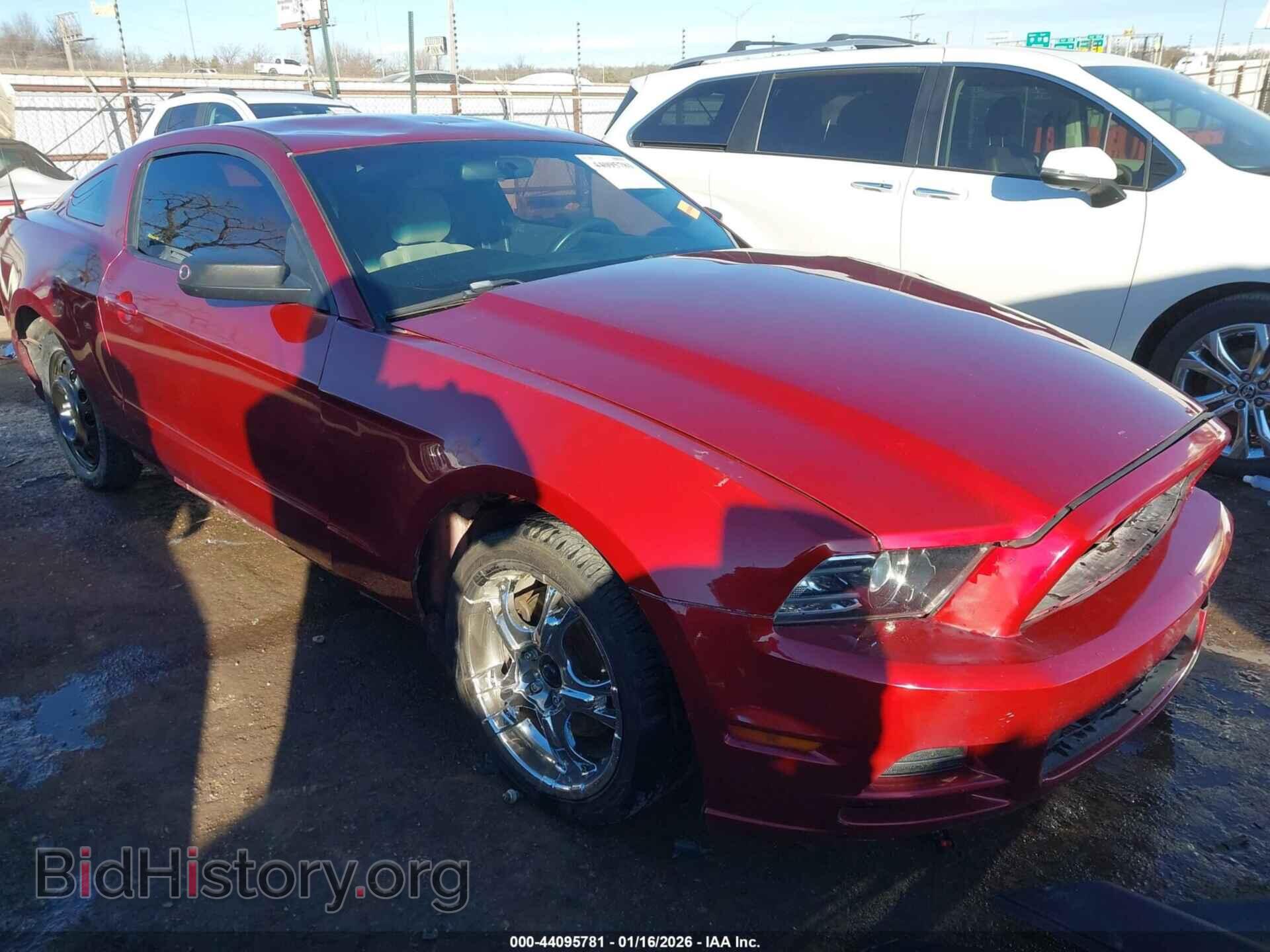 Фотография 1ZVBP8AM9E5291576 - FORD MUSTANG 2014