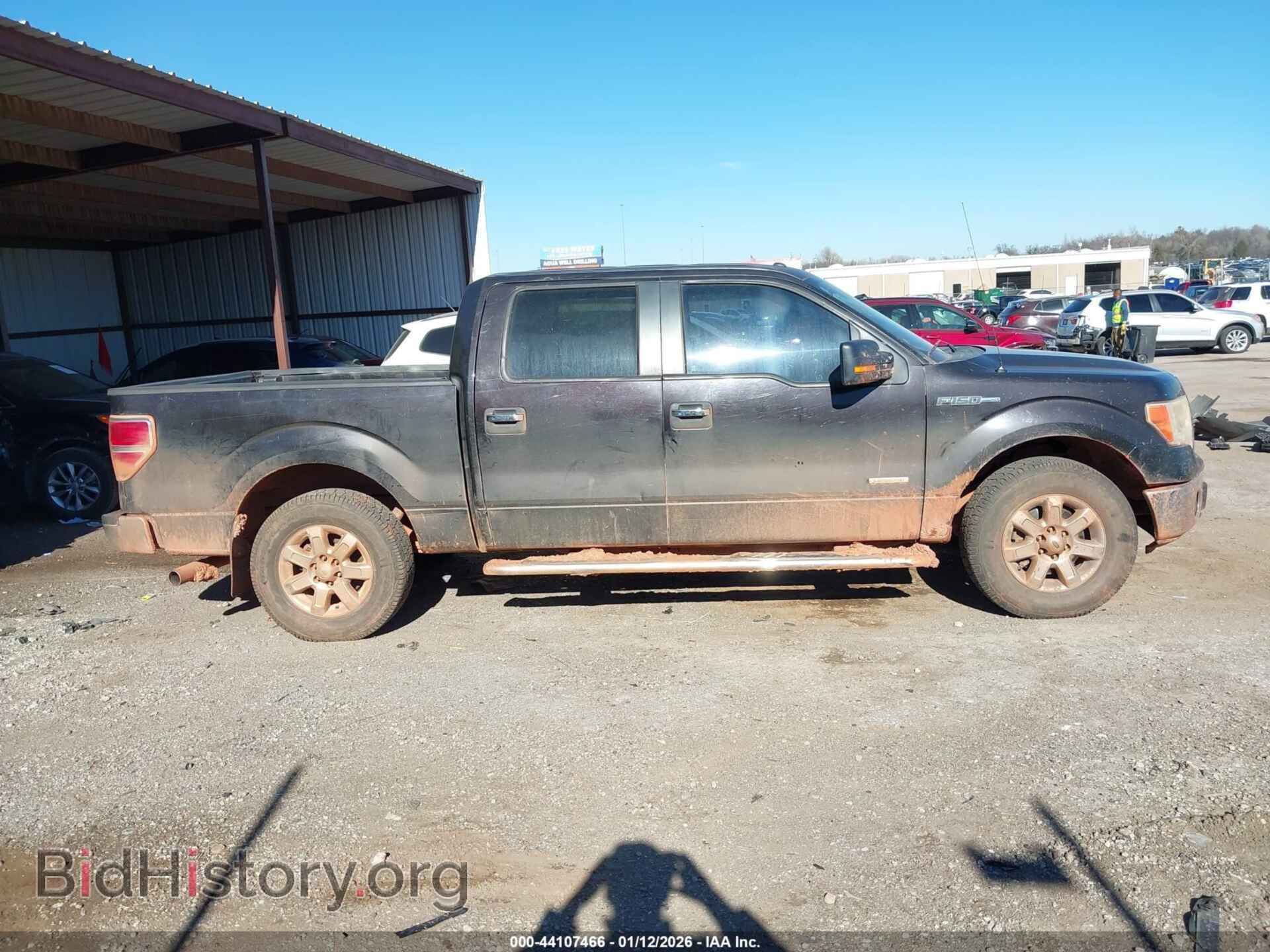 2013 FORD F-150 - VIN: 1FTFW1CT3DKD59390 - Фото 13