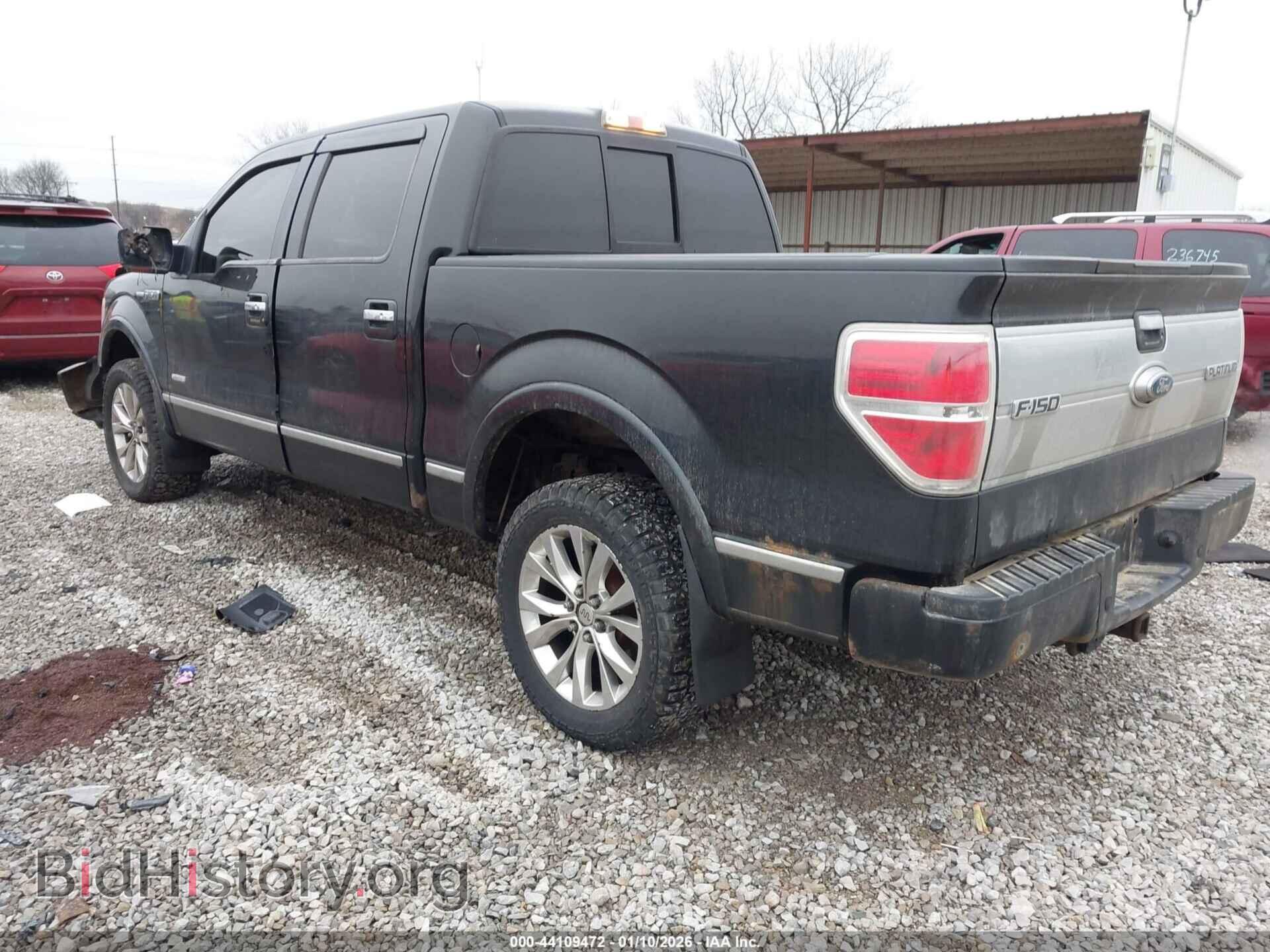 2011 FORD F-150 - VIN: 1FTFW1ET9BFA68198 - Фото 3