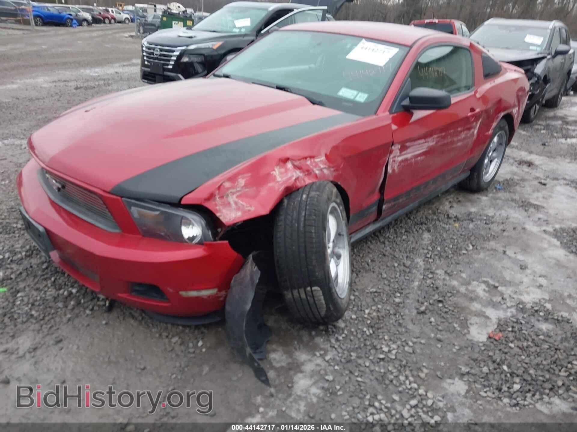 2011 FORD MUSTANG - VIN: 1ZVBP8AM9B5103134 - Фото 2