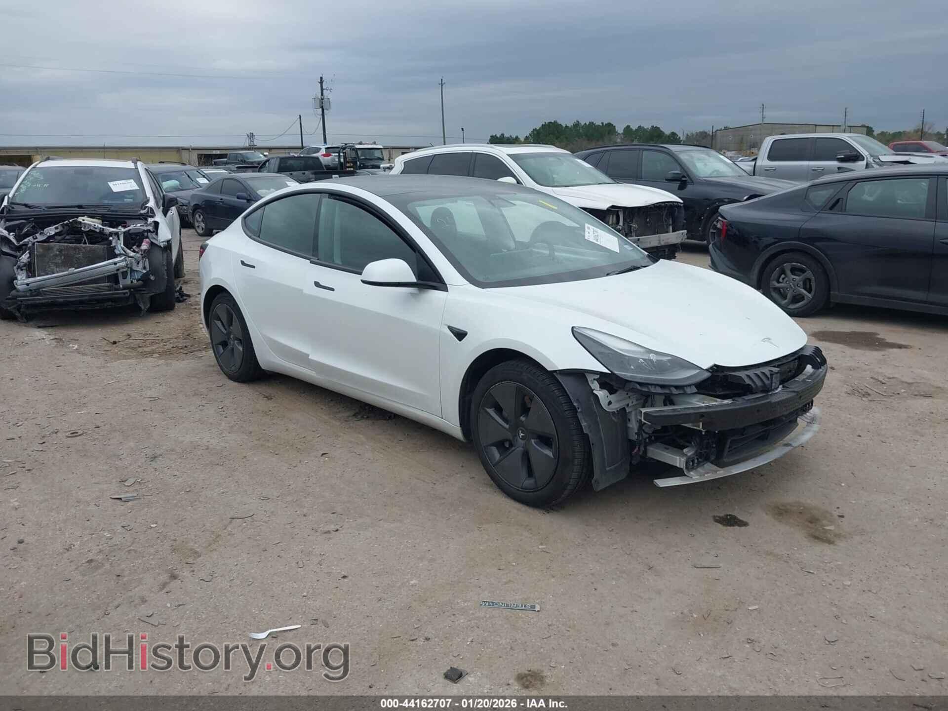 Photo 5YJ3E1EA1MF919664 - TESLA MODEL 3 2021