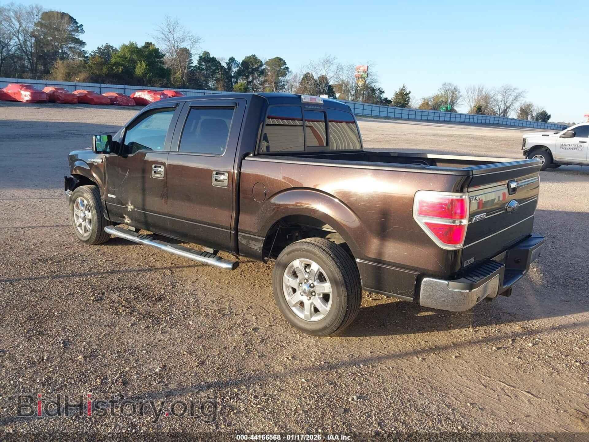 2013 FORD F-150 - VIN: 1FTFW1CT6DFC61950 - Фото 3