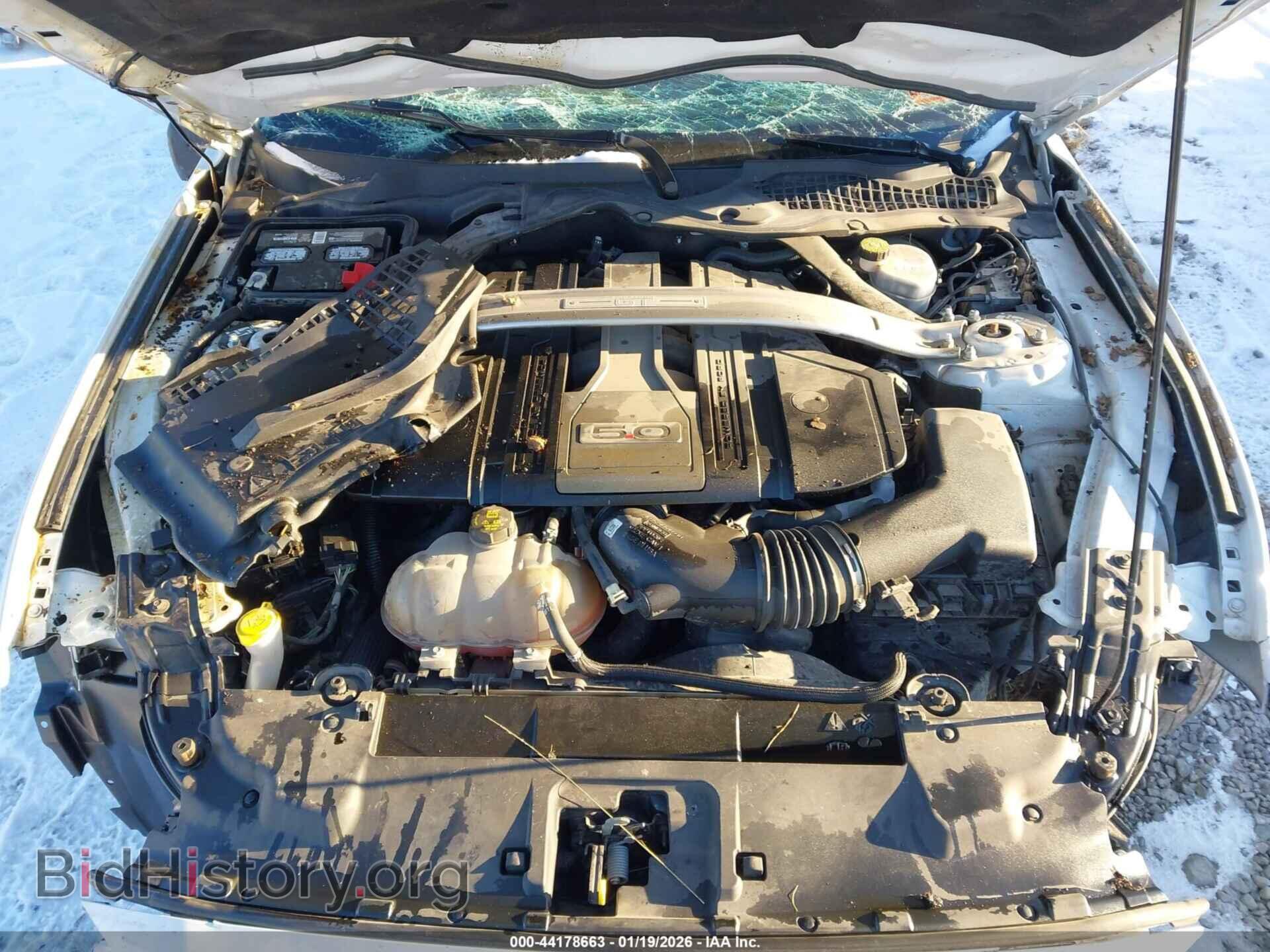 2019 FORD MUSTANG - VIN: 1FA6P8CFXK5133509 - Фото 10