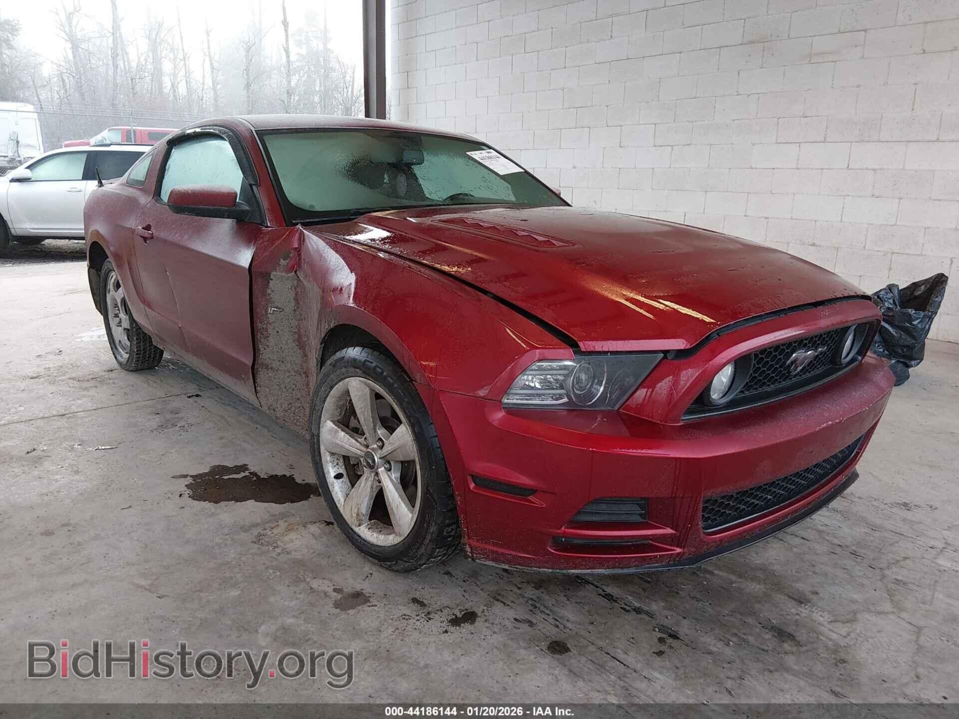 Фотография 1ZVBP8CF0E5206204 - FORD MUSTANG 2014