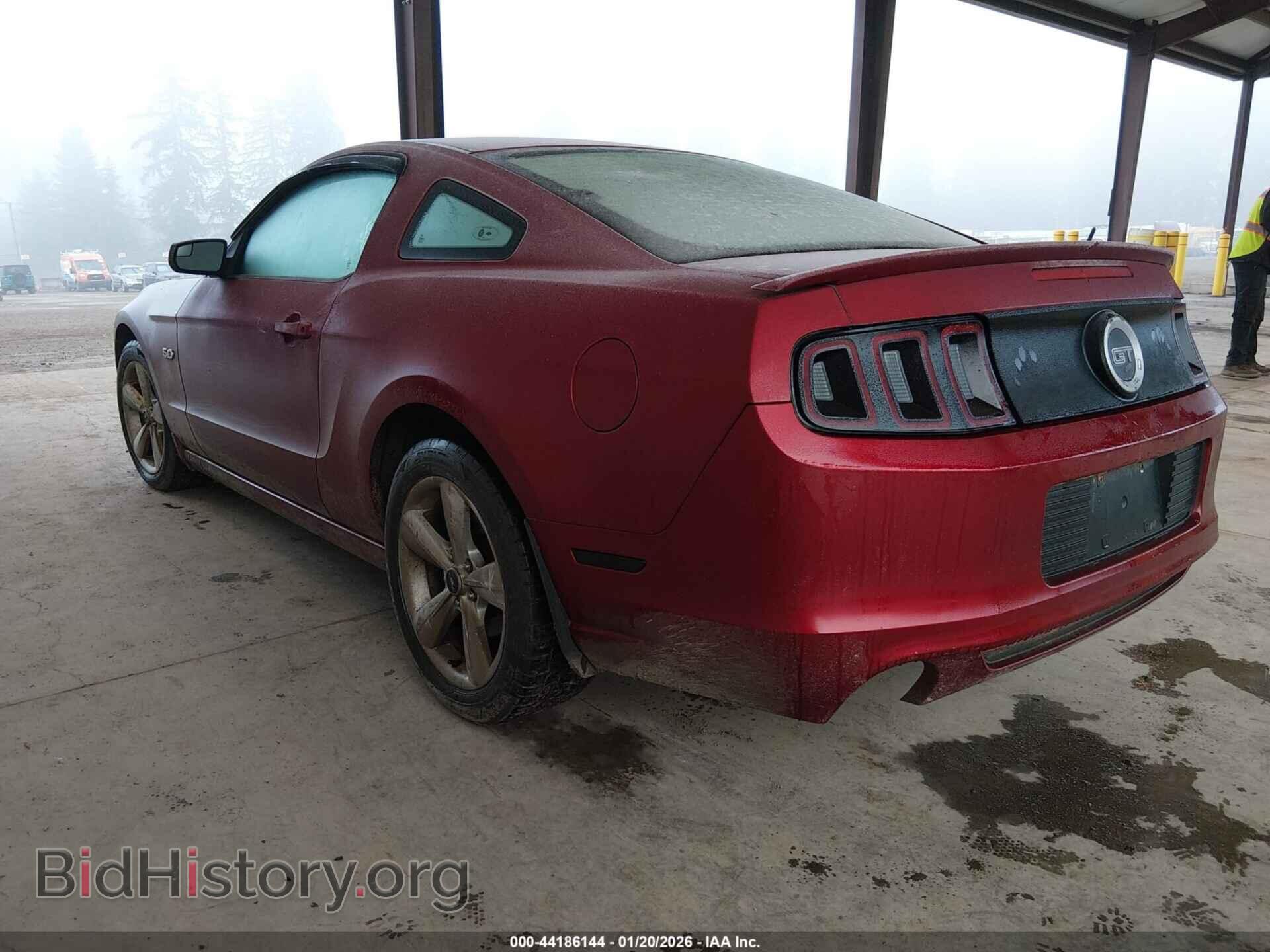 2014 FORD MUSTANG - VIN: 1ZVBP8CF0E5206204 - Фото 3