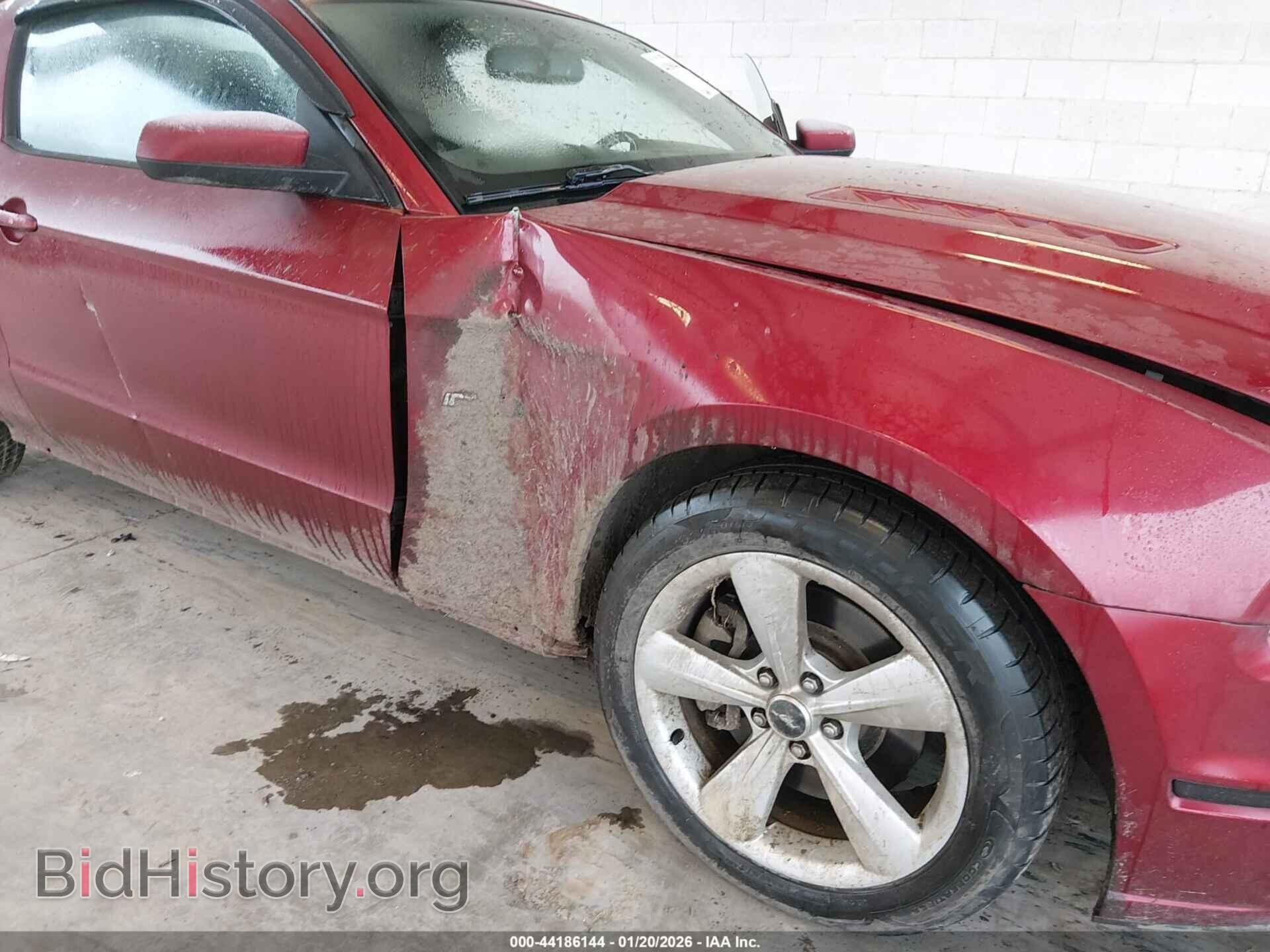 2014 FORD MUSTANG - VIN: 1ZVBP8CF0E5206204 - Фото 6