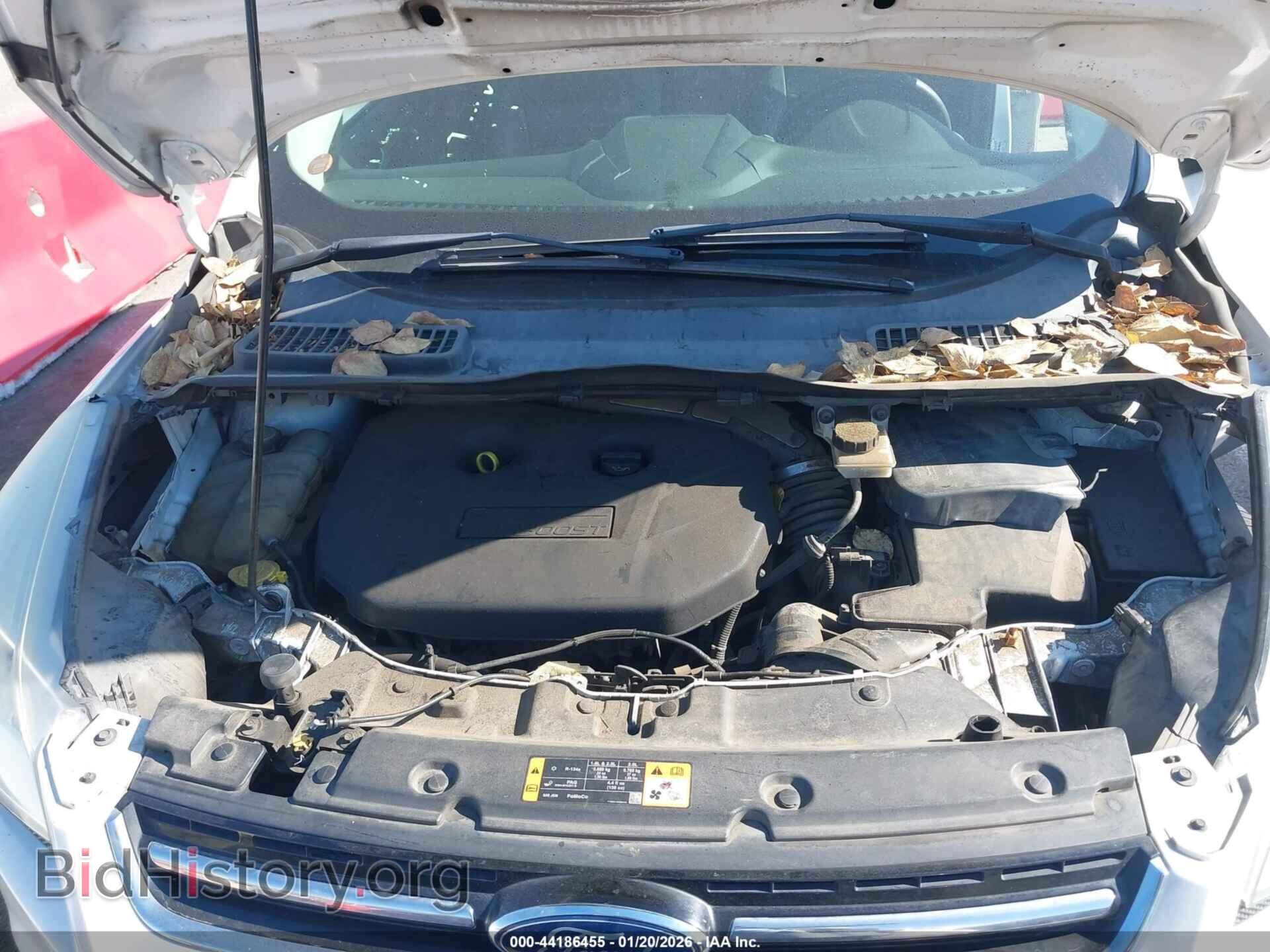 2013 FORD ESCAPE - VIN: 1FMCU0H94DUA14904 - Фото 10